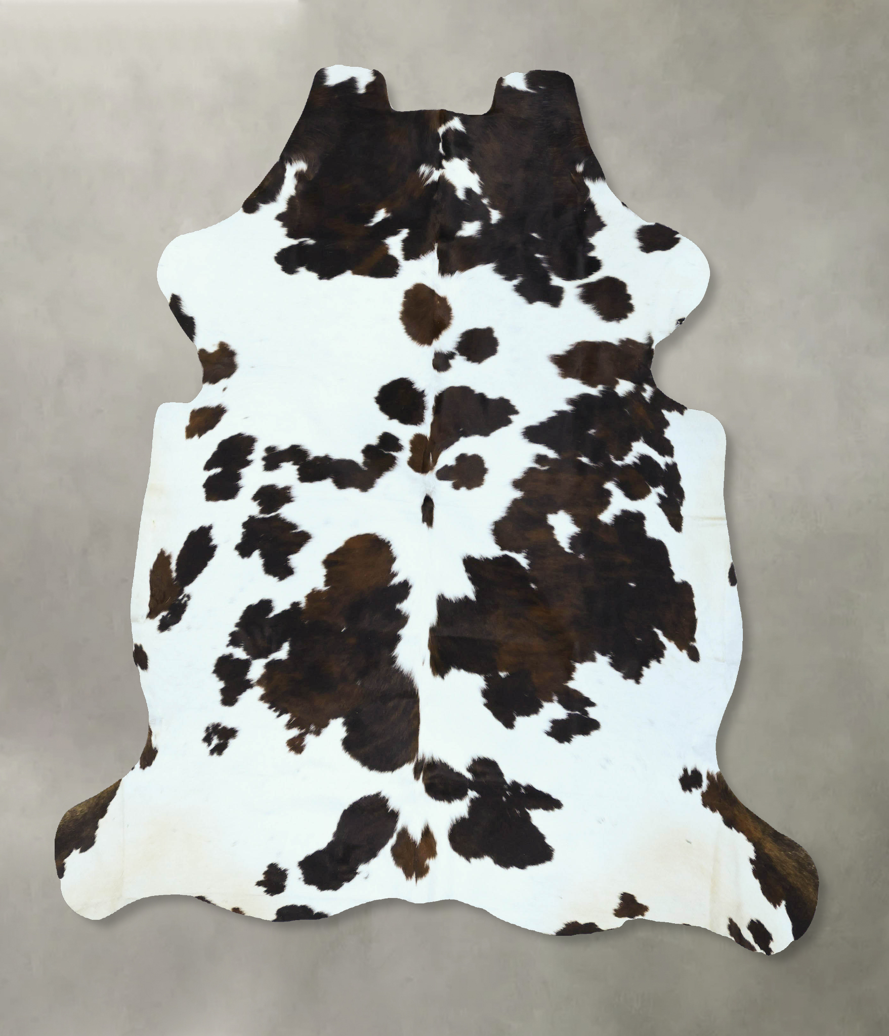 Tricolor Cowhide Rug #B22816