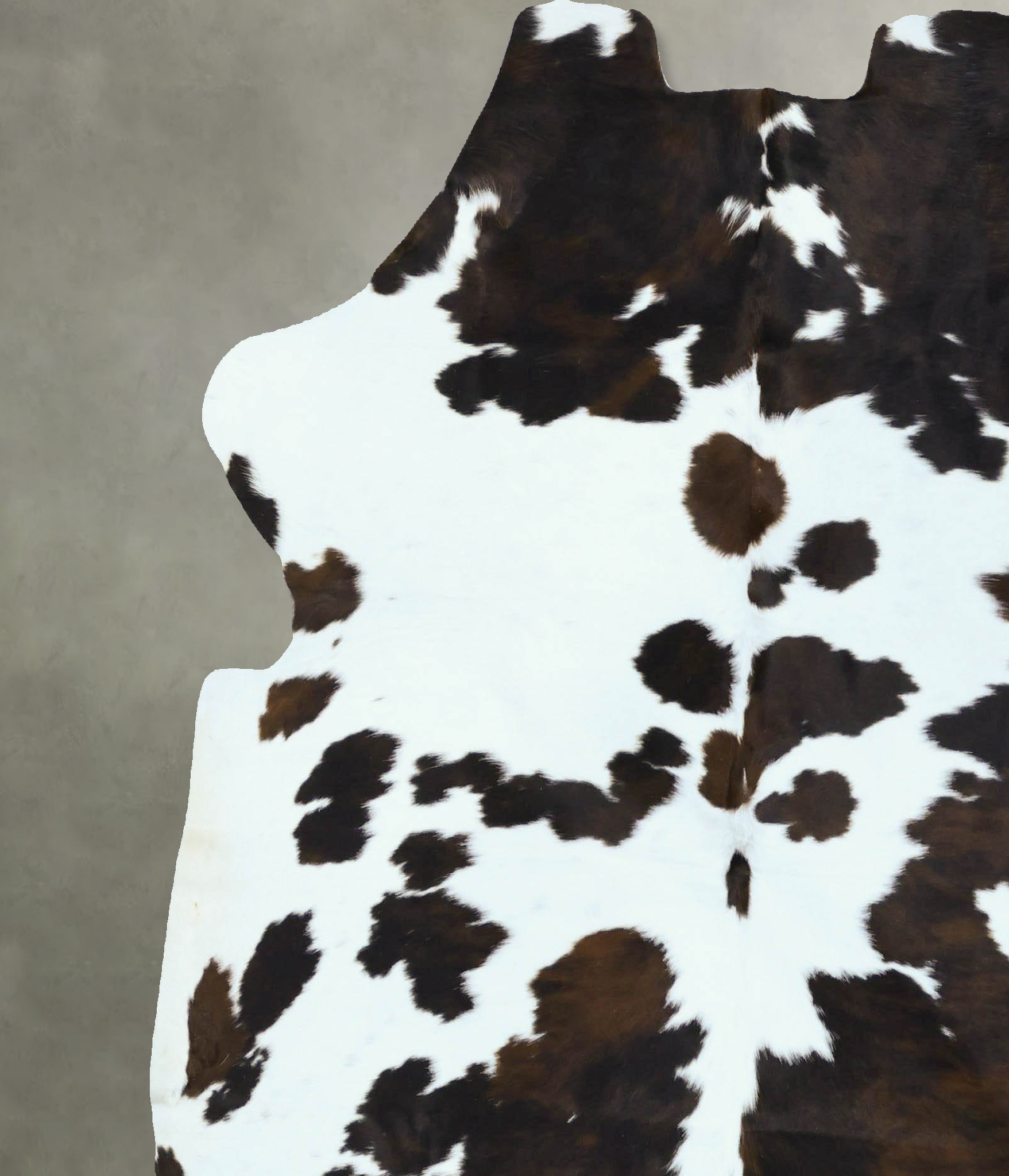 Tricolor Cowhide Rug #B22816