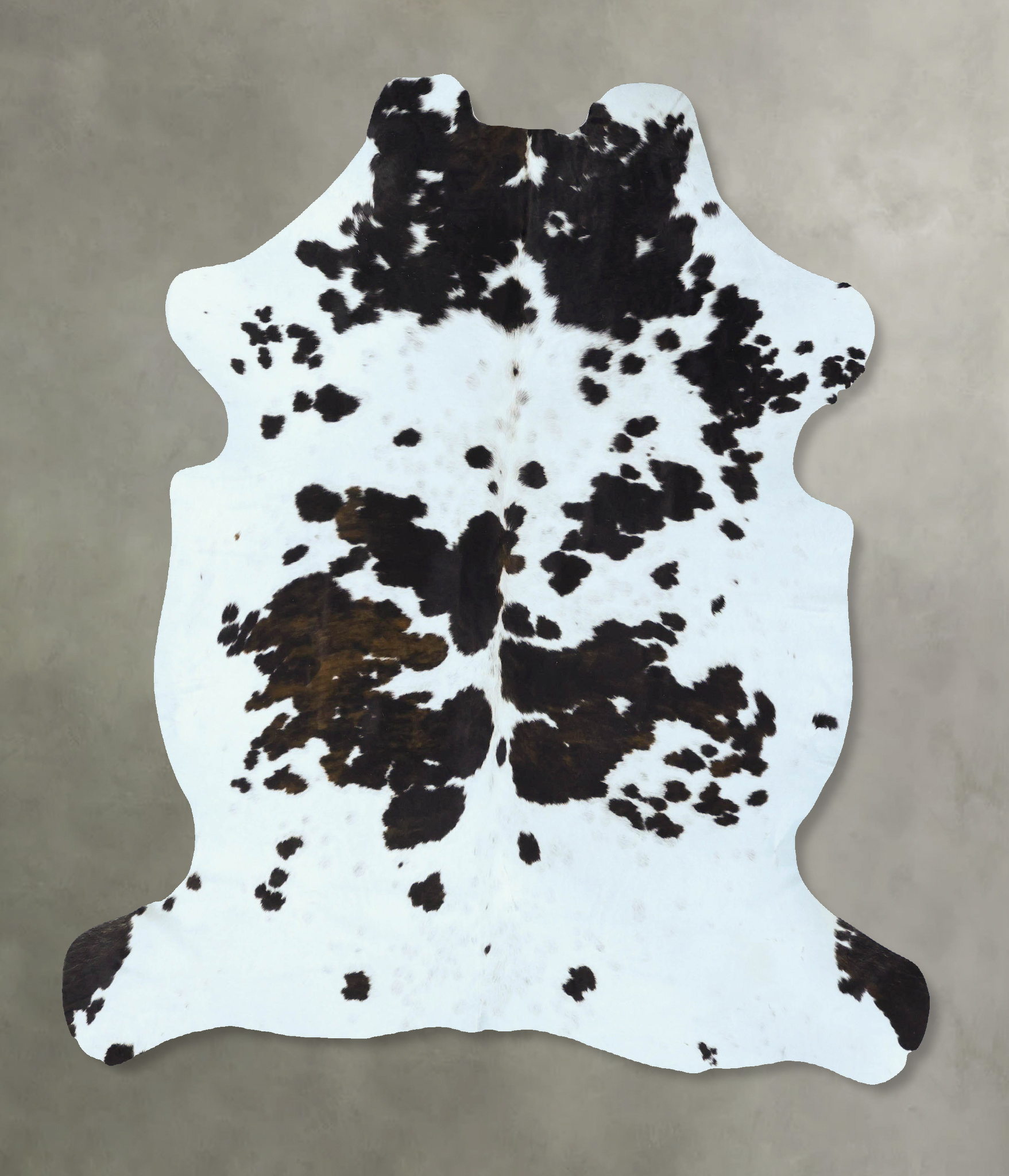 Tricolor Cowhide Rug #B22817