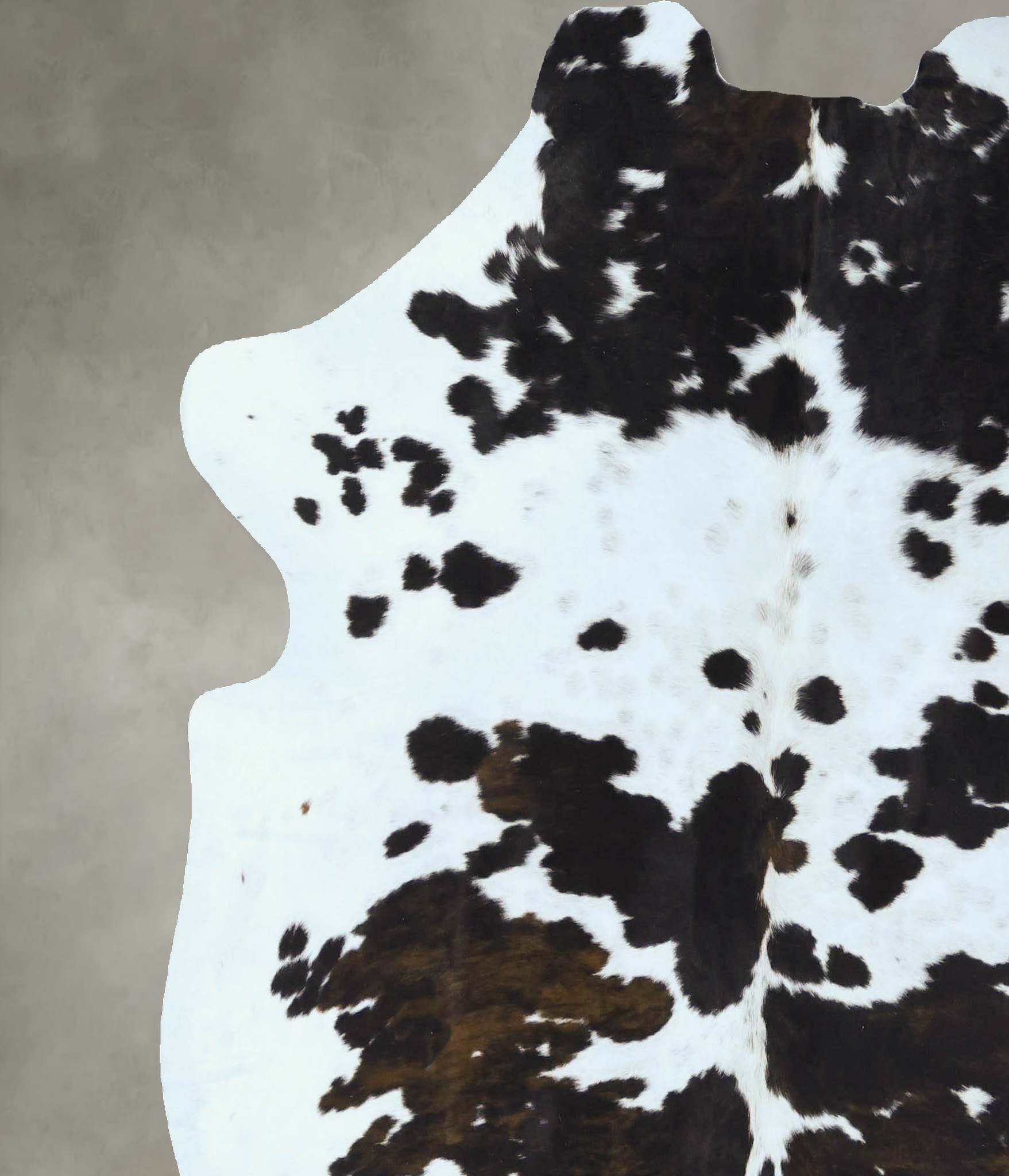 Tricolor Cowhide Rug #B22817