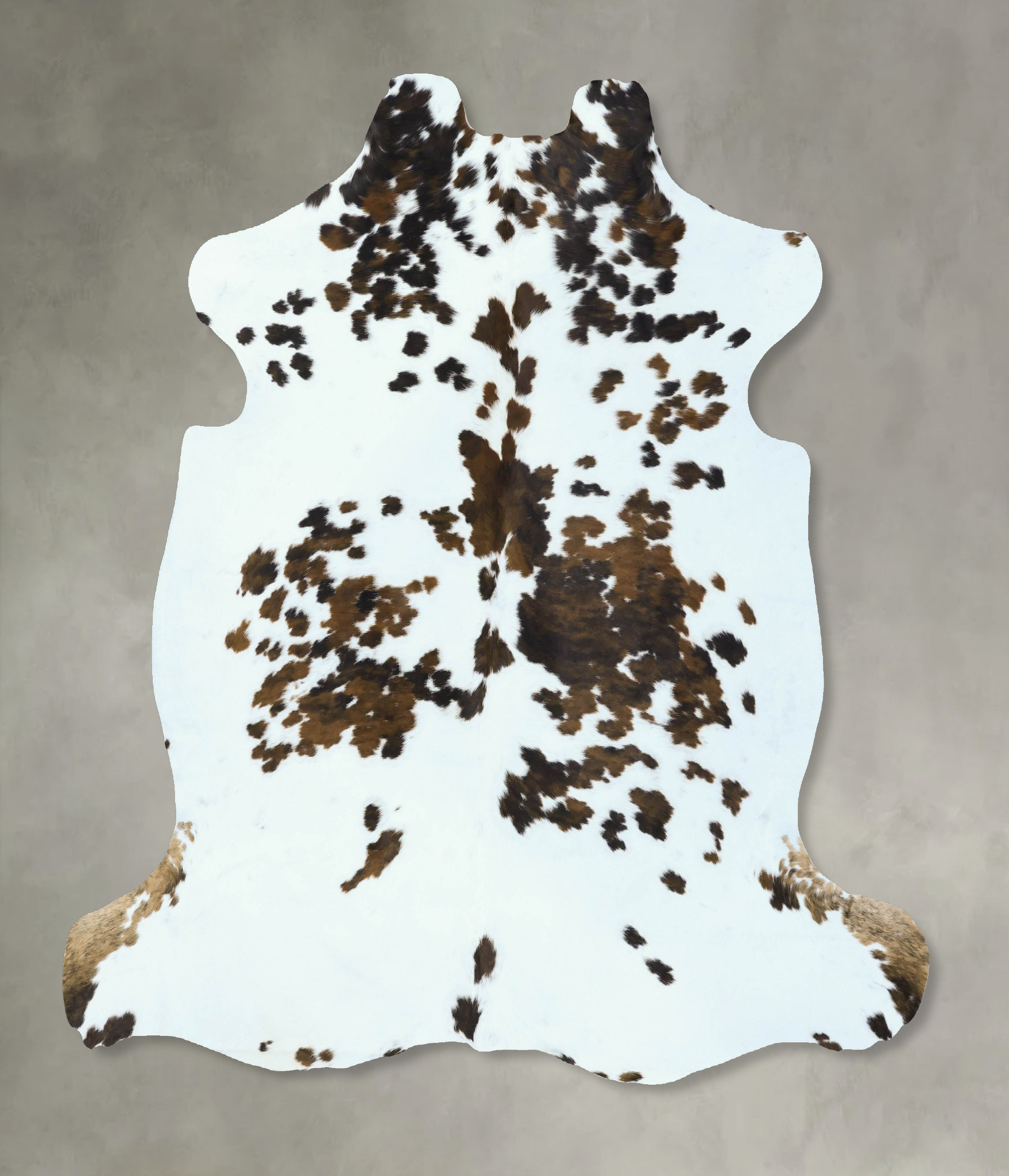 Tricolor Cowhide Rug #B22818