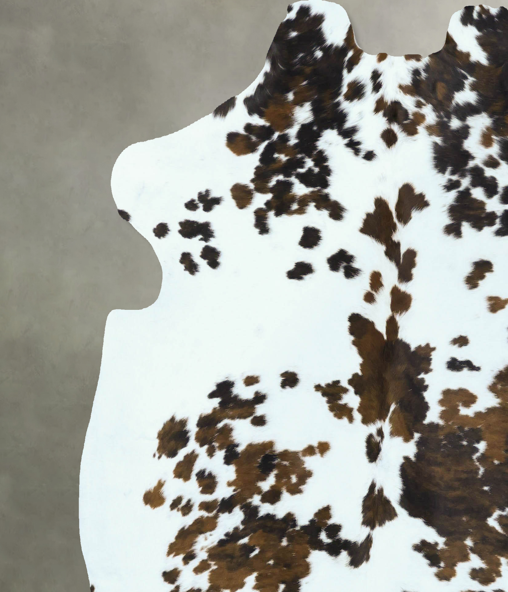 Tricolor Cowhide Rug #B22818