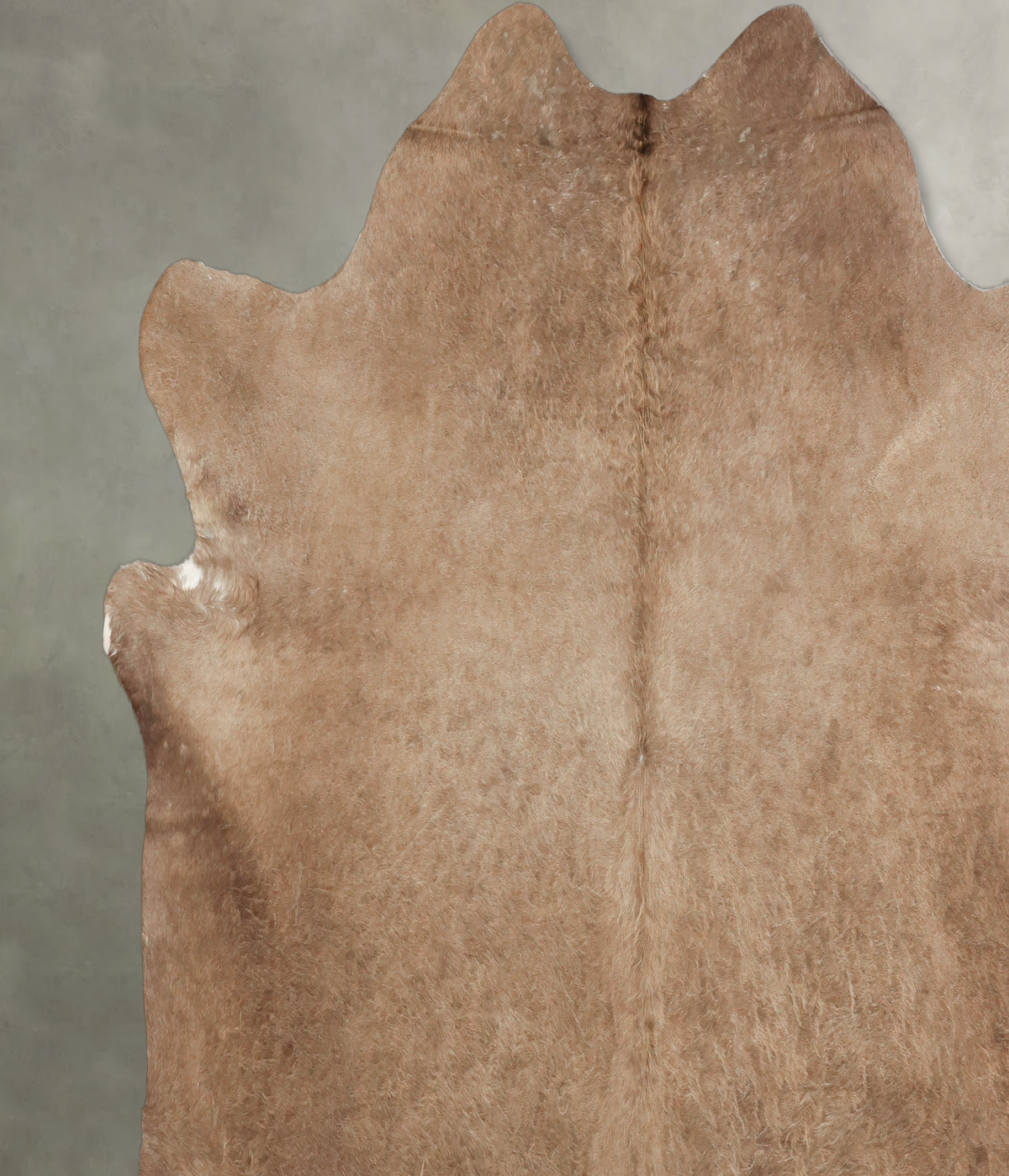 Taupe XX-Large Brazilian Cowhide Rug 7'7"H x 7'7"W #B2282 by Hudson Hides