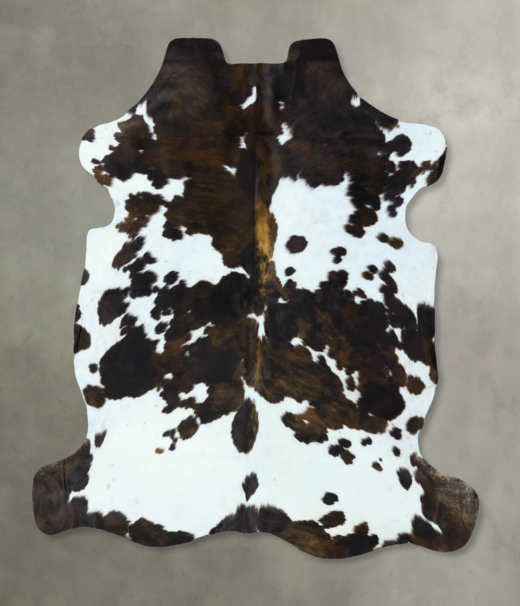 Tricolor Cowhide Rug #B22820