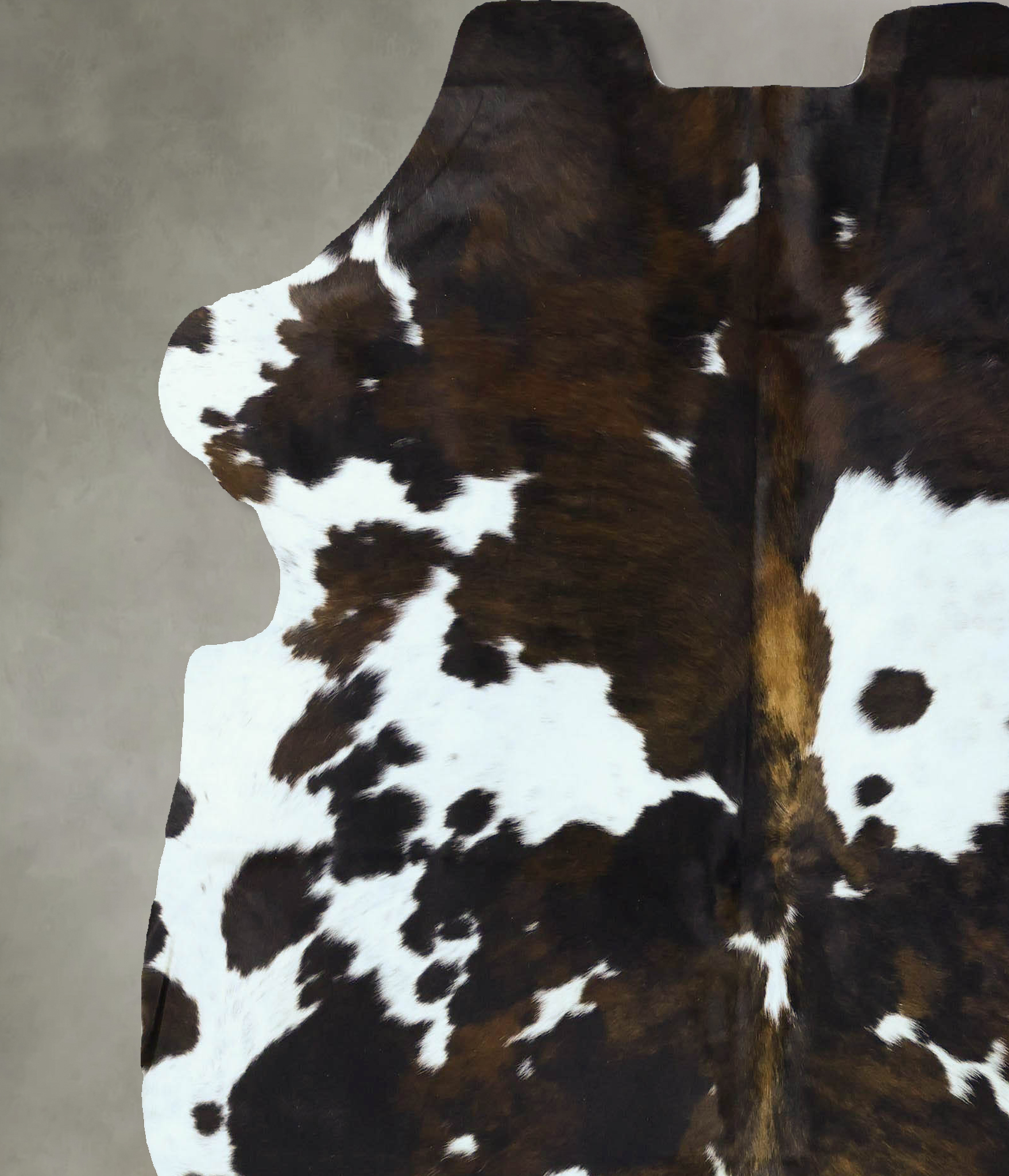 Tricolor Cowhide Rug #B22820