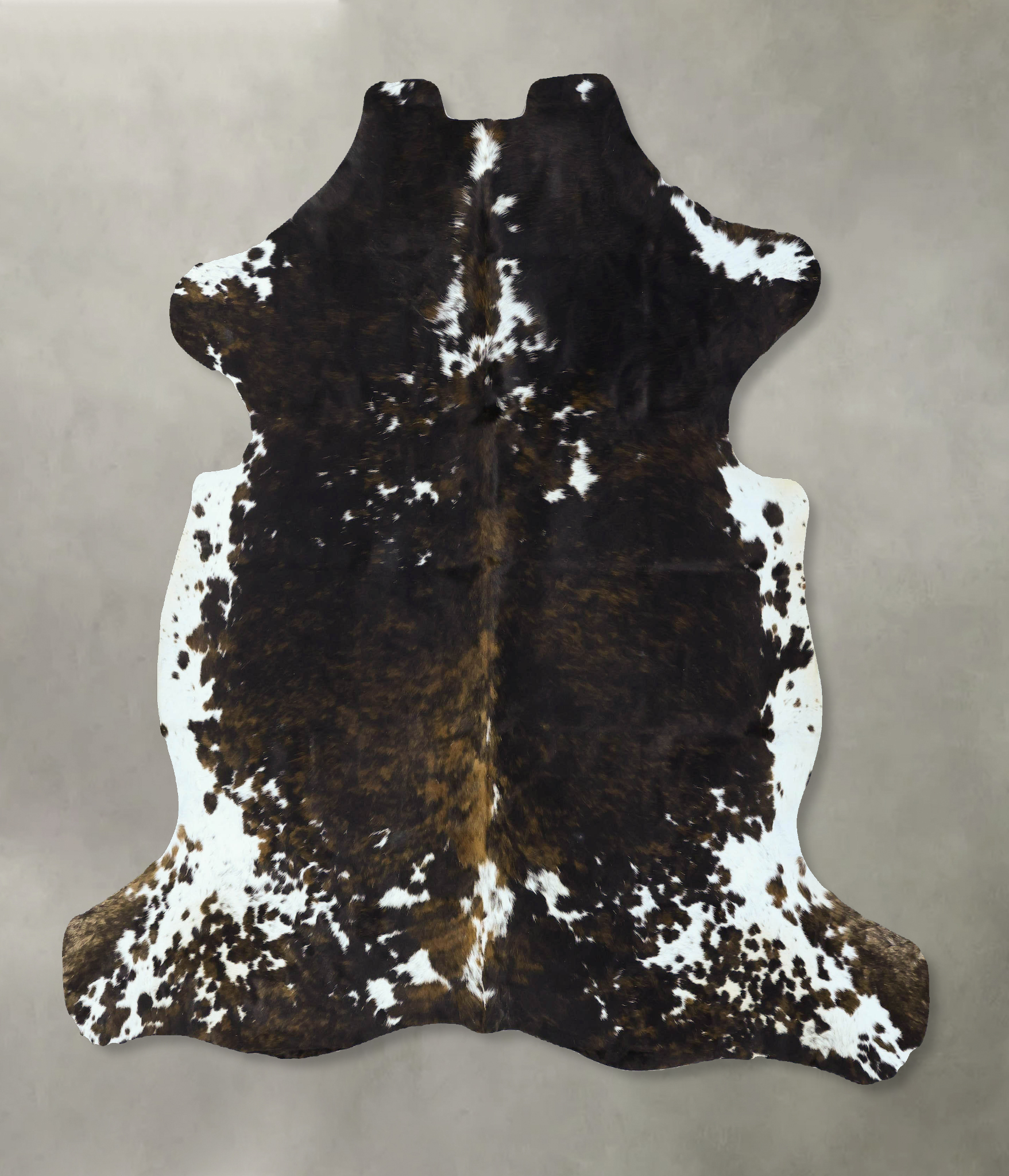 Tricolor Cowhide Rug #B22821