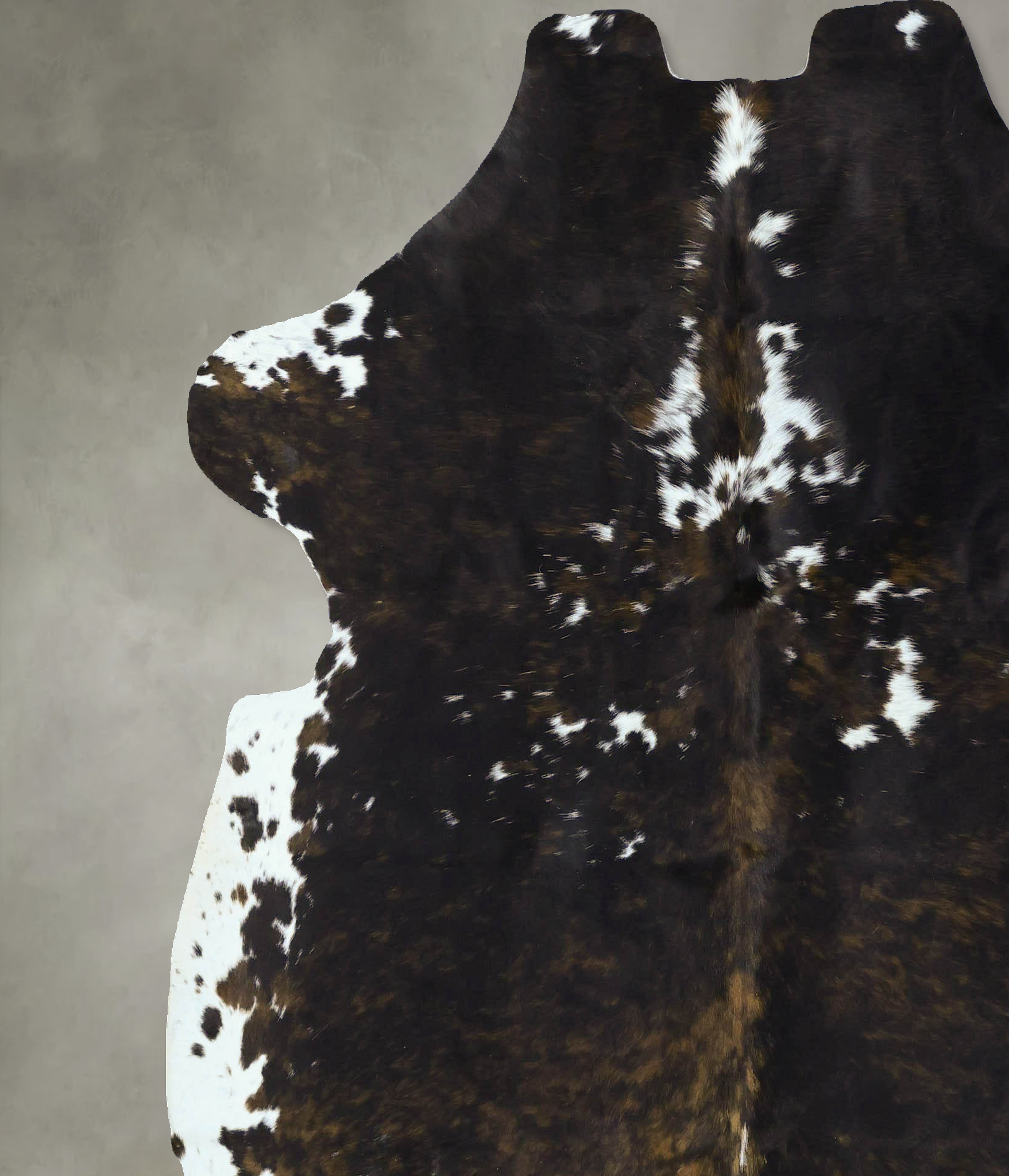 Tricolor Cowhide Rug #B22821