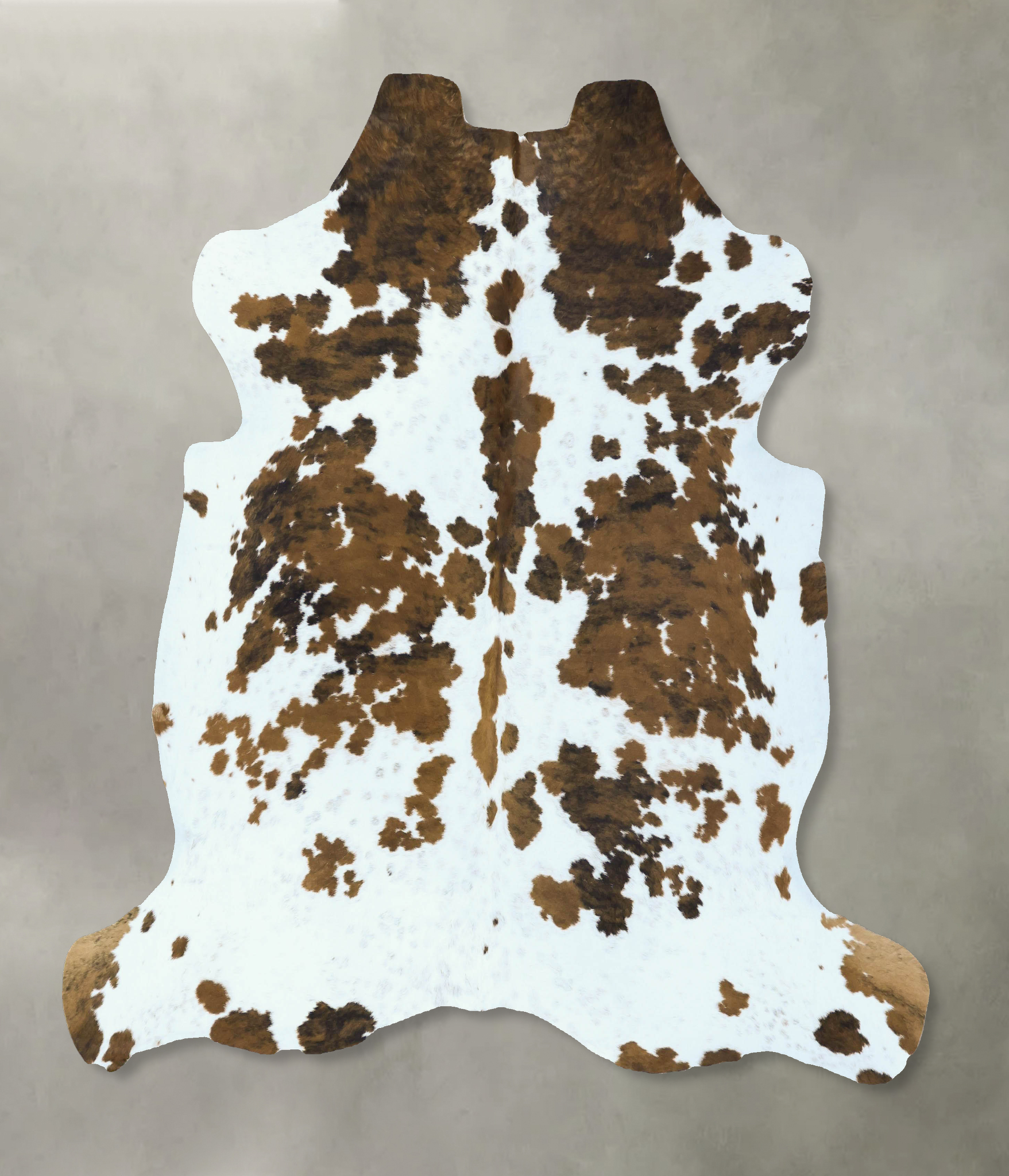 Tricolor Cowhide Rug #B22823