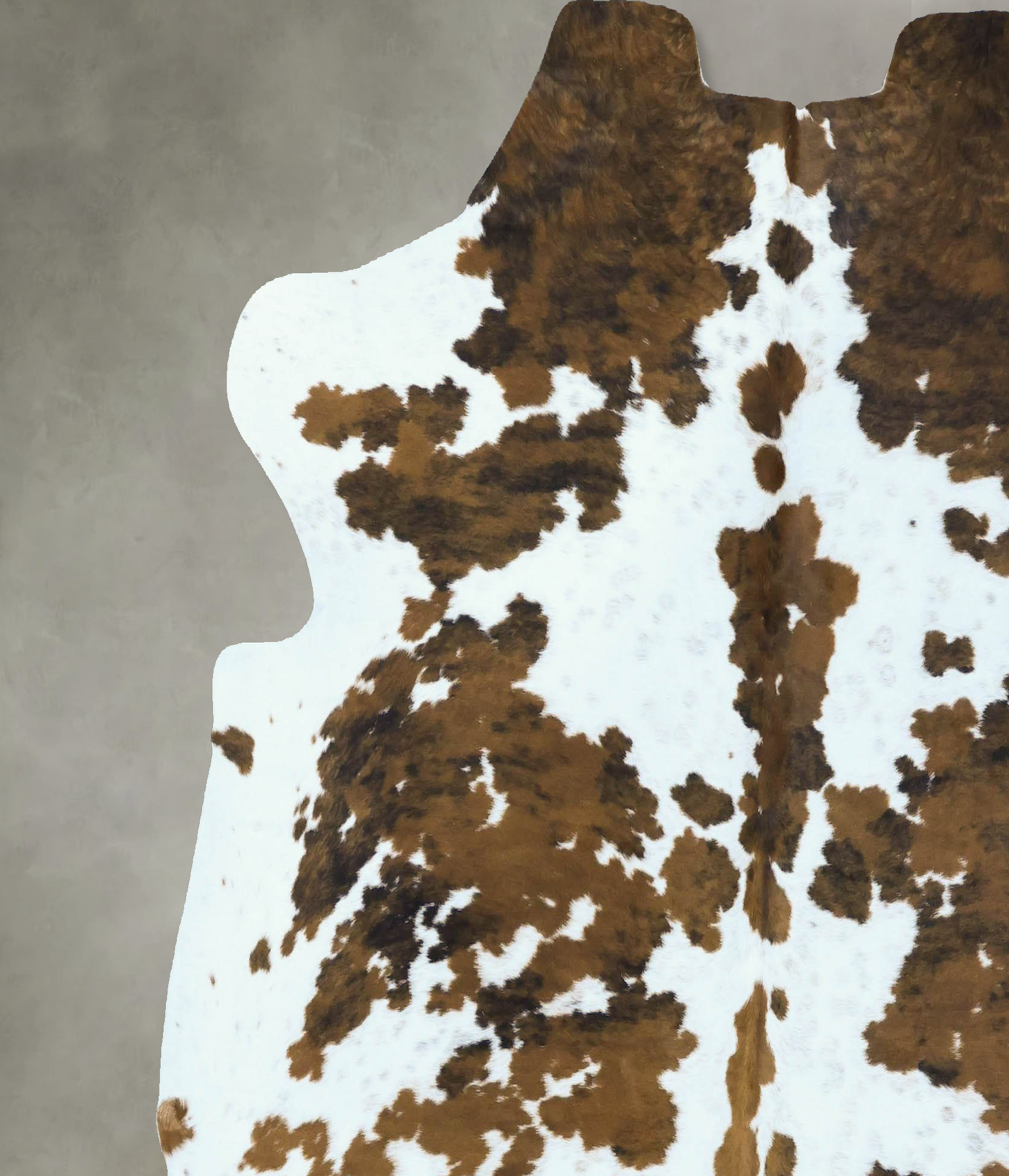 Tricolor Cowhide Rug #B22823