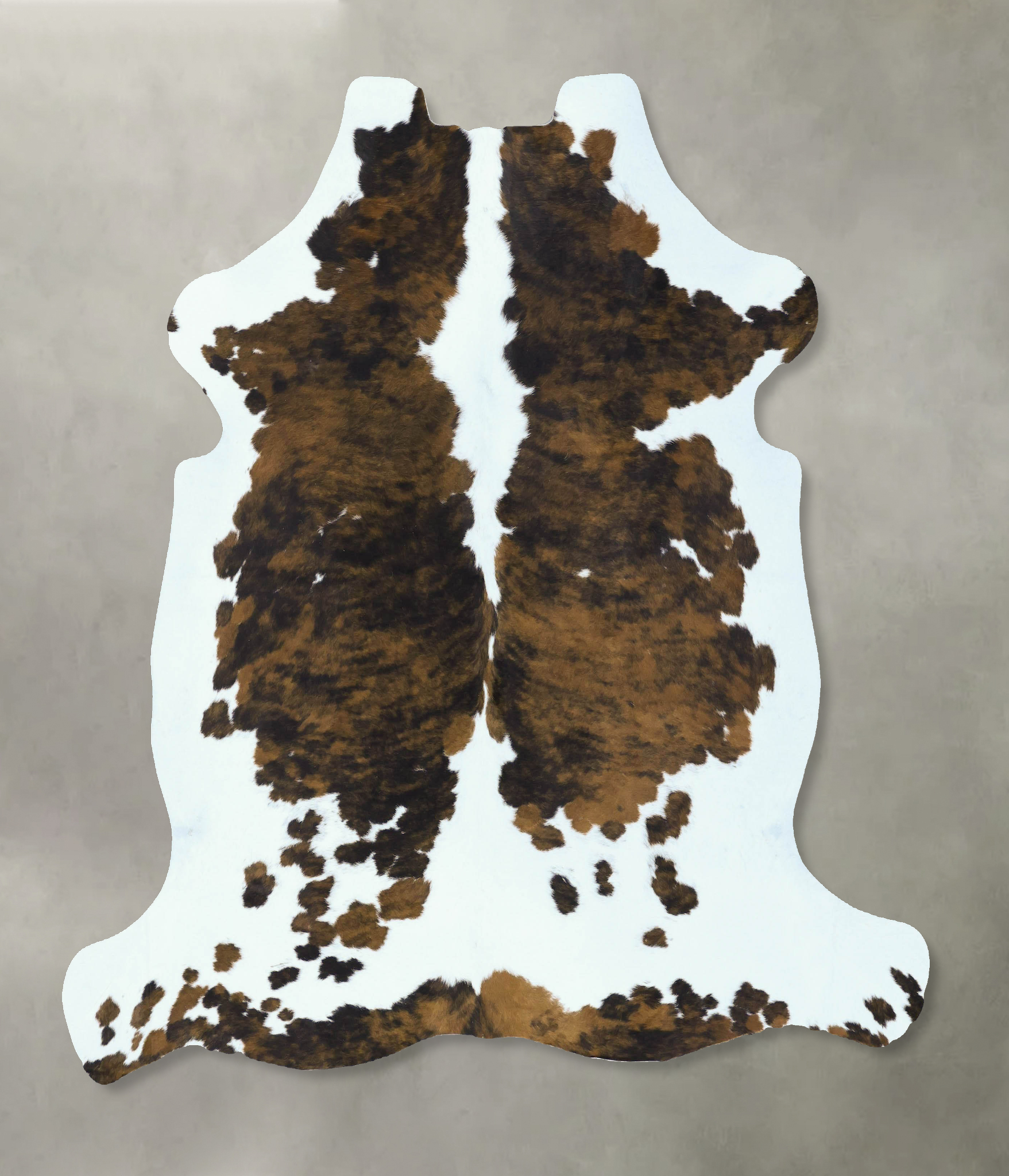Tricolor Cowhide Rug #B22824