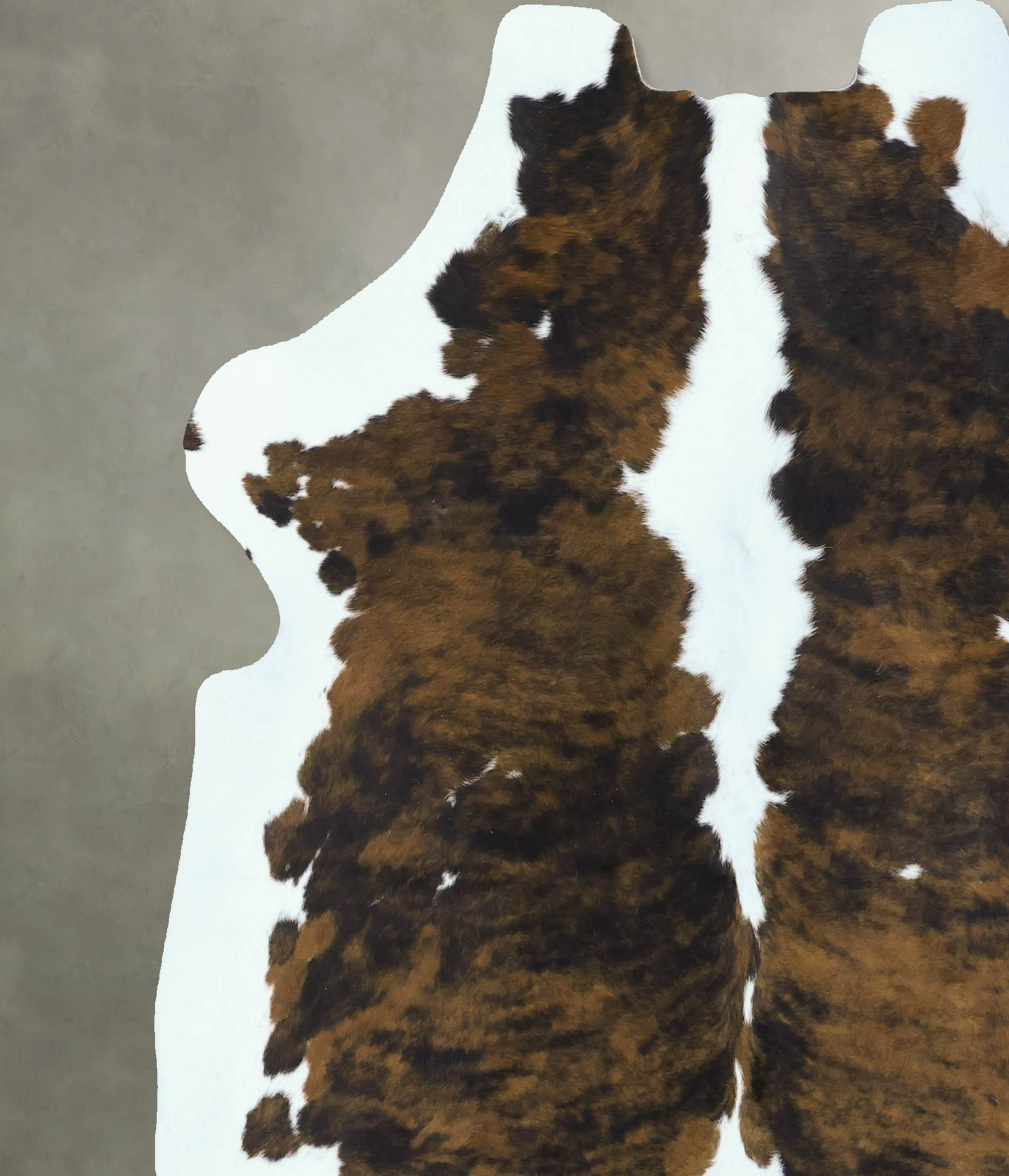Tricolor Cowhide Rug #B22824