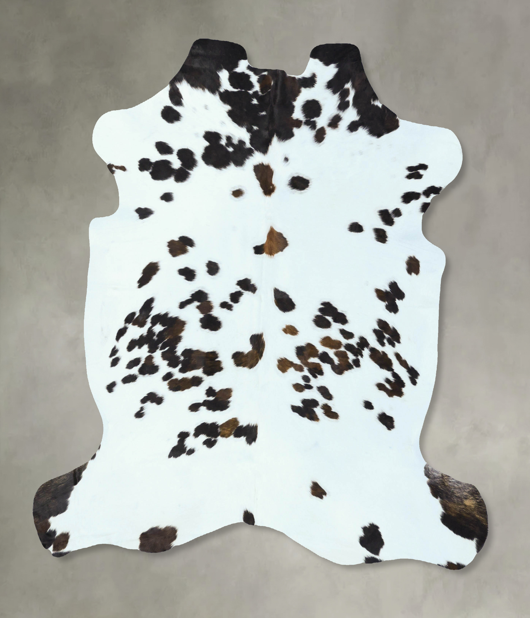 Tricolor Cowhide Rug #B22825