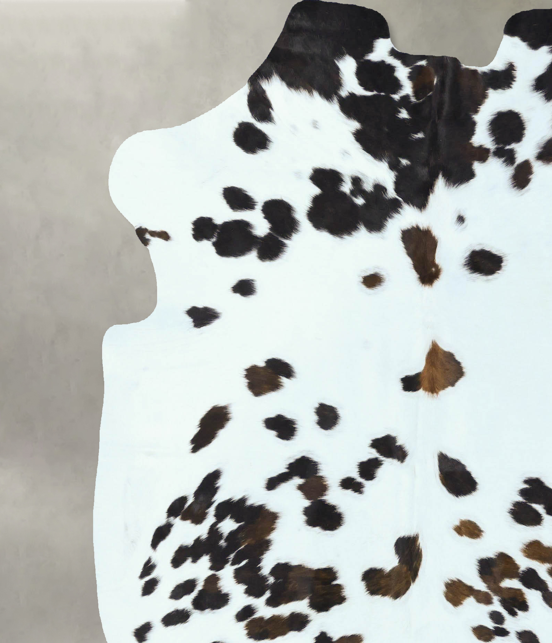 Tricolor Cowhide Rug #B22825