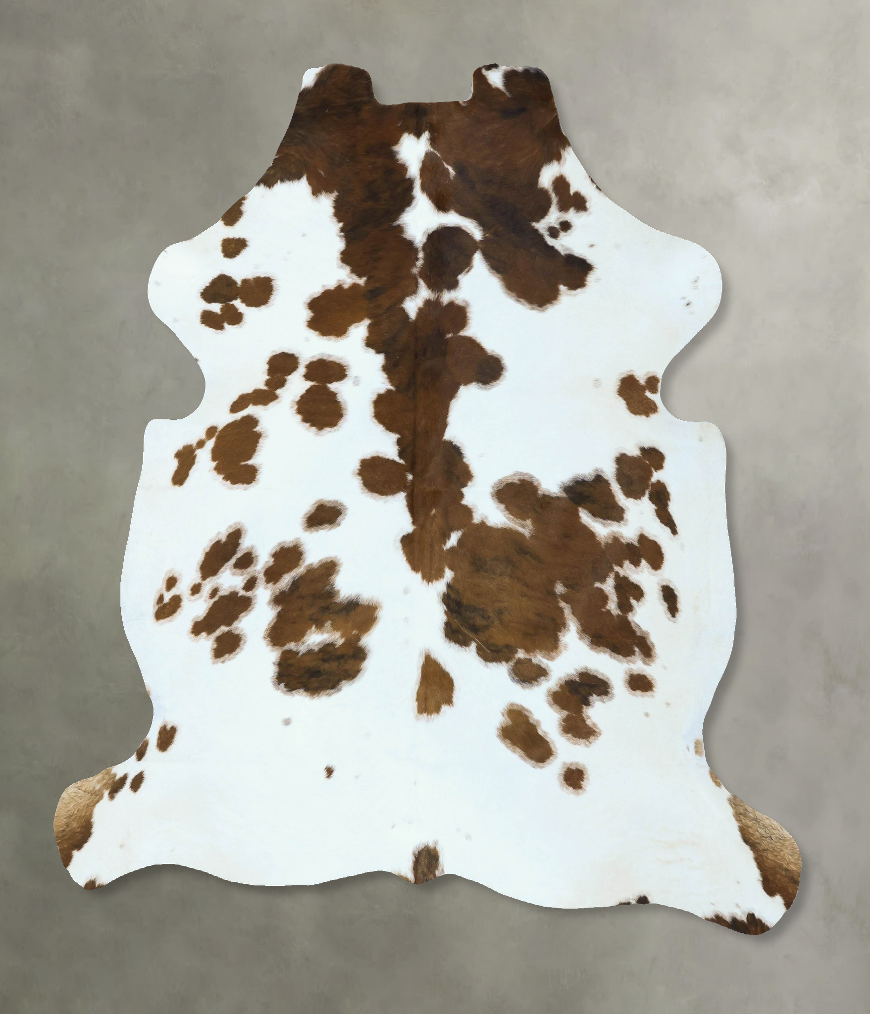 Tricolor Cowhide Rug #B22826