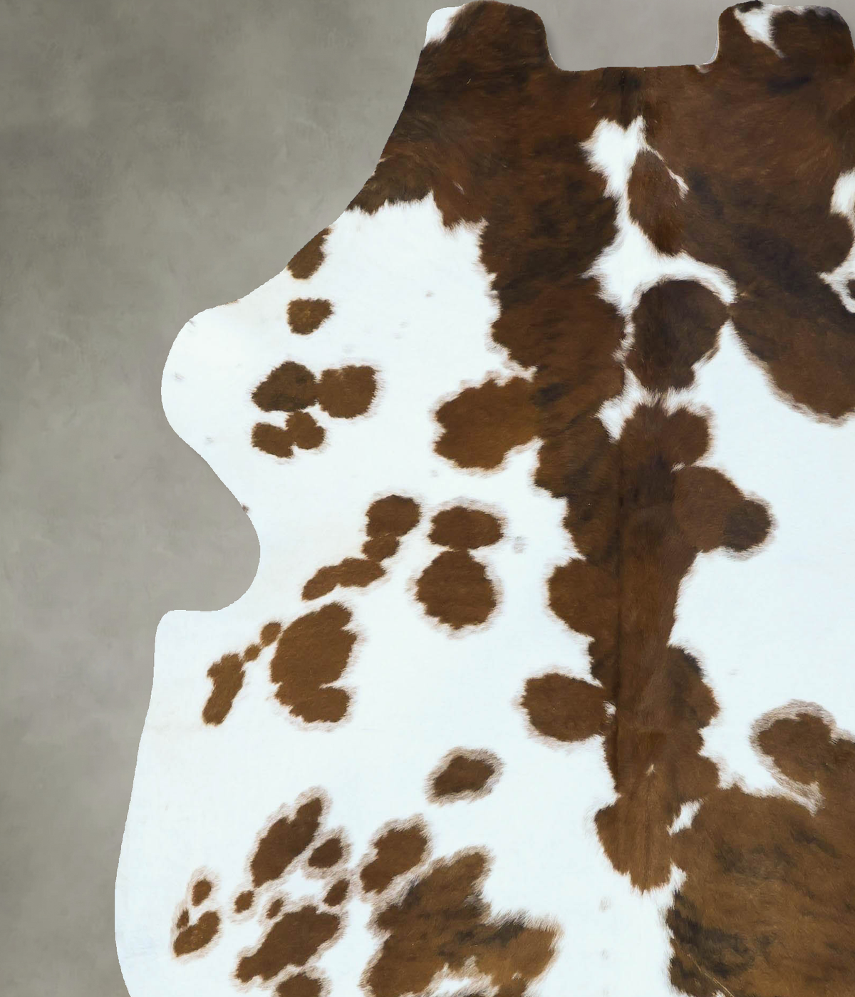 Tricolor X-Large European Cowhide Rug 6'11"H x 6'3"W #B22826 by Hudson Hides