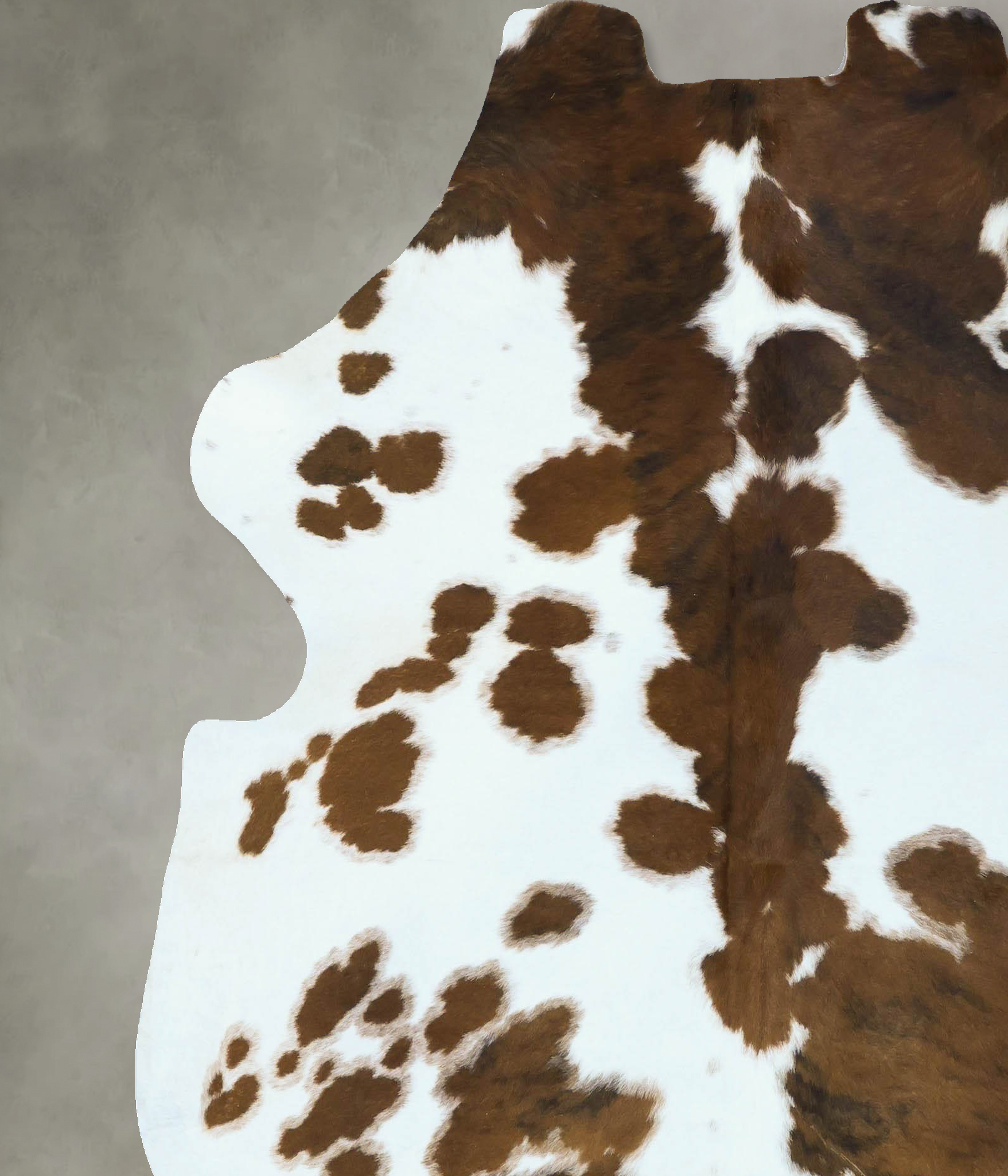 Tricolor Cowhide Rug #B22826