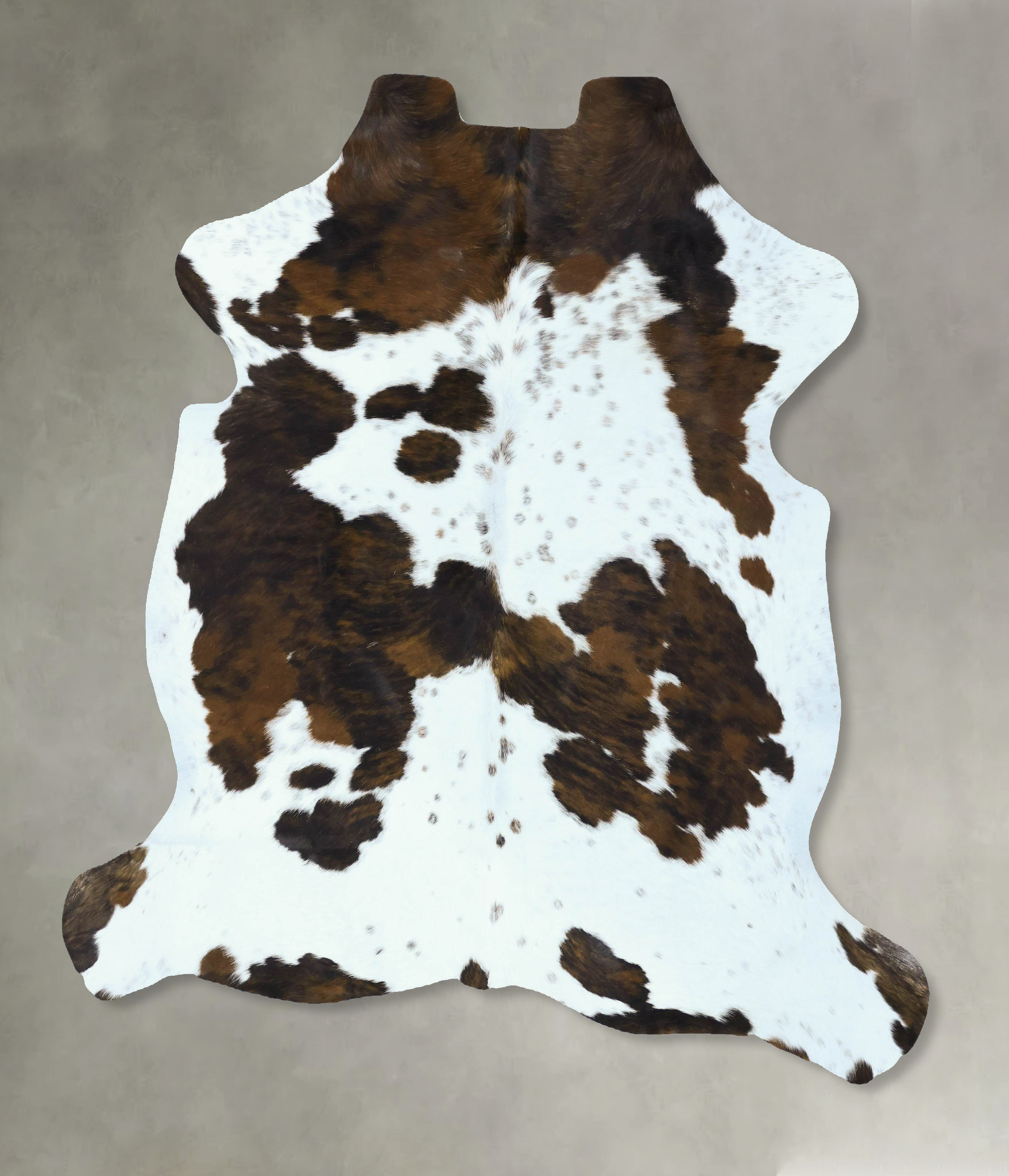 Tricolor Cowhide Rug #B22827