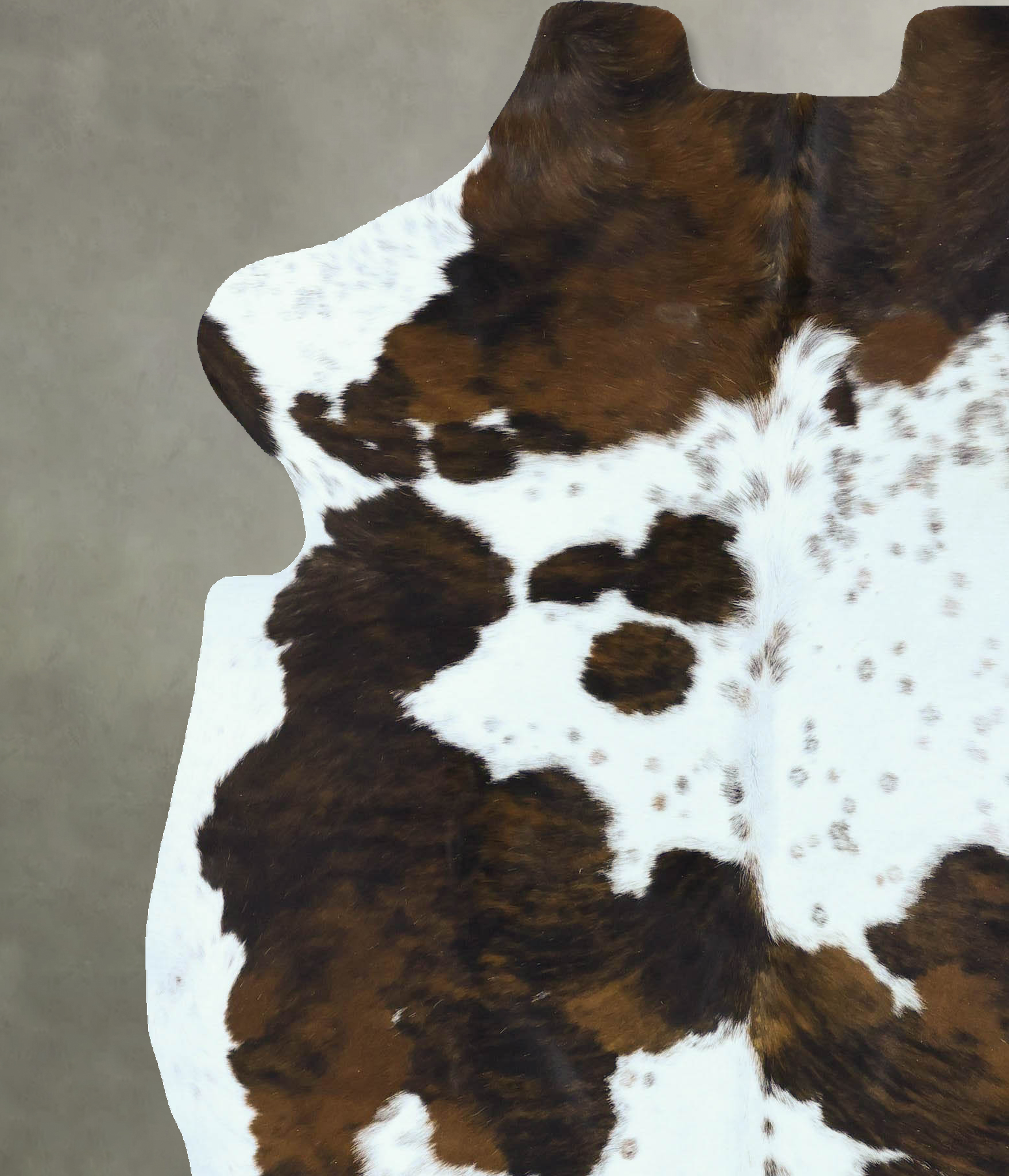 Tricolor Cowhide Rug #B22827