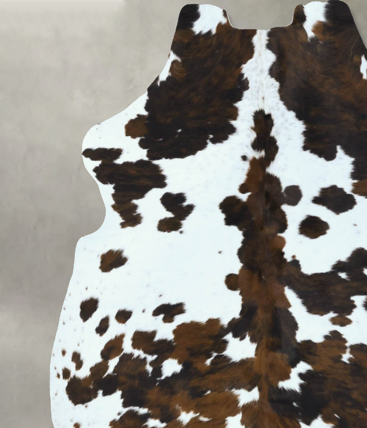 Tricolor X-Large European Cowhide Rug 7'1"H x 6'2"W #B22829 by Hudson Hides