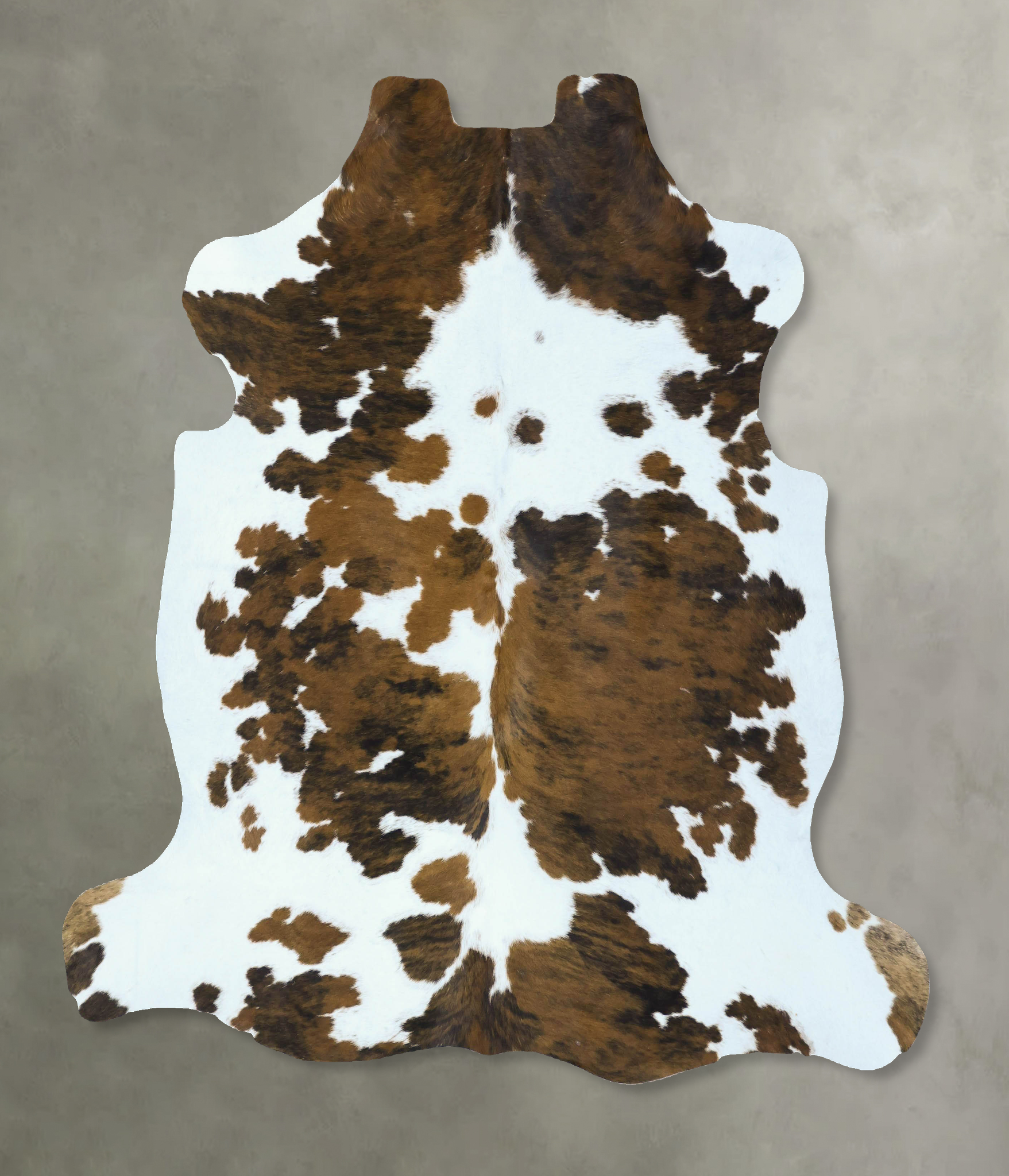 Tricolor Cowhide Rug #B22830