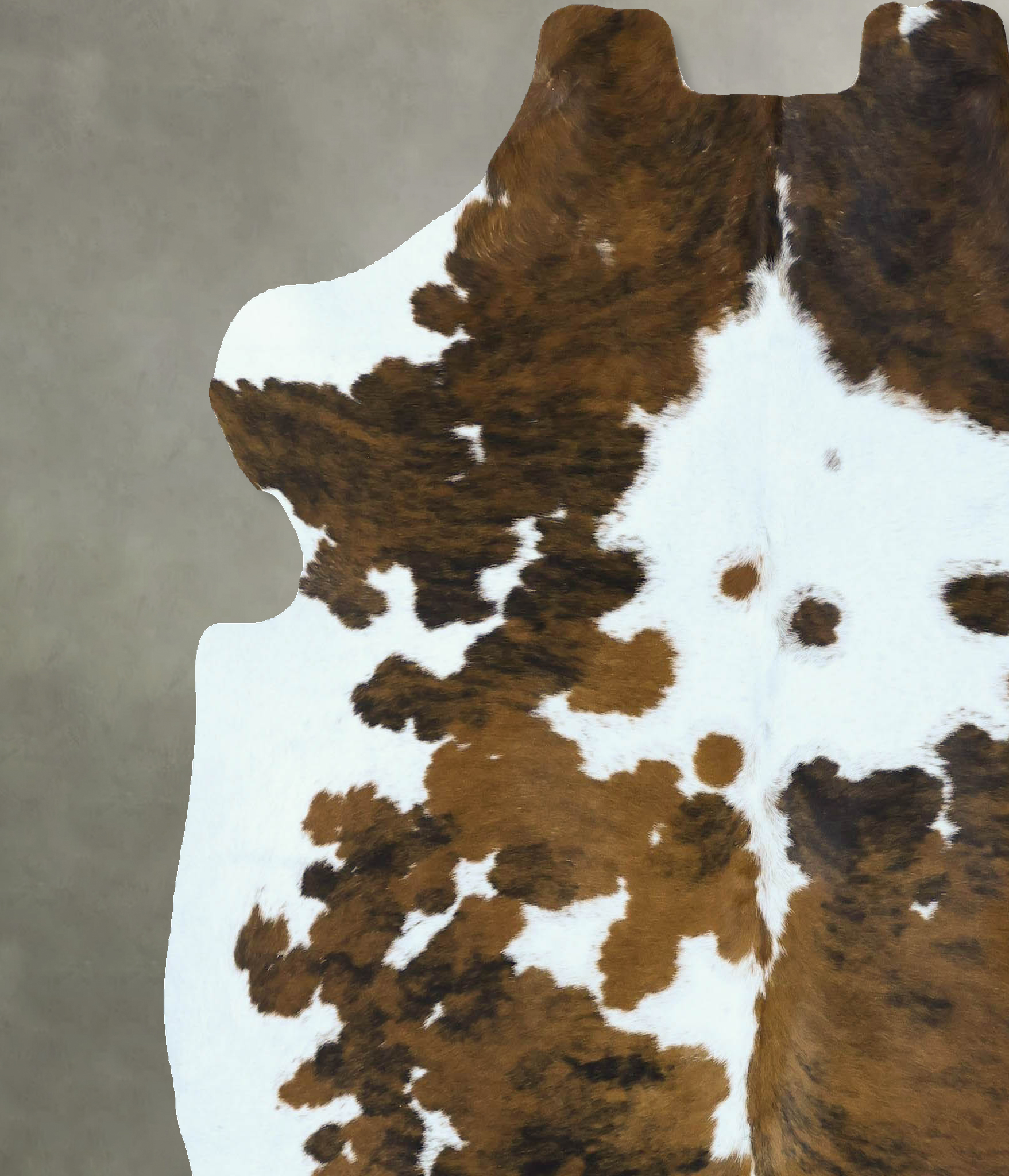 Tricolor Cowhide Rug #B22830