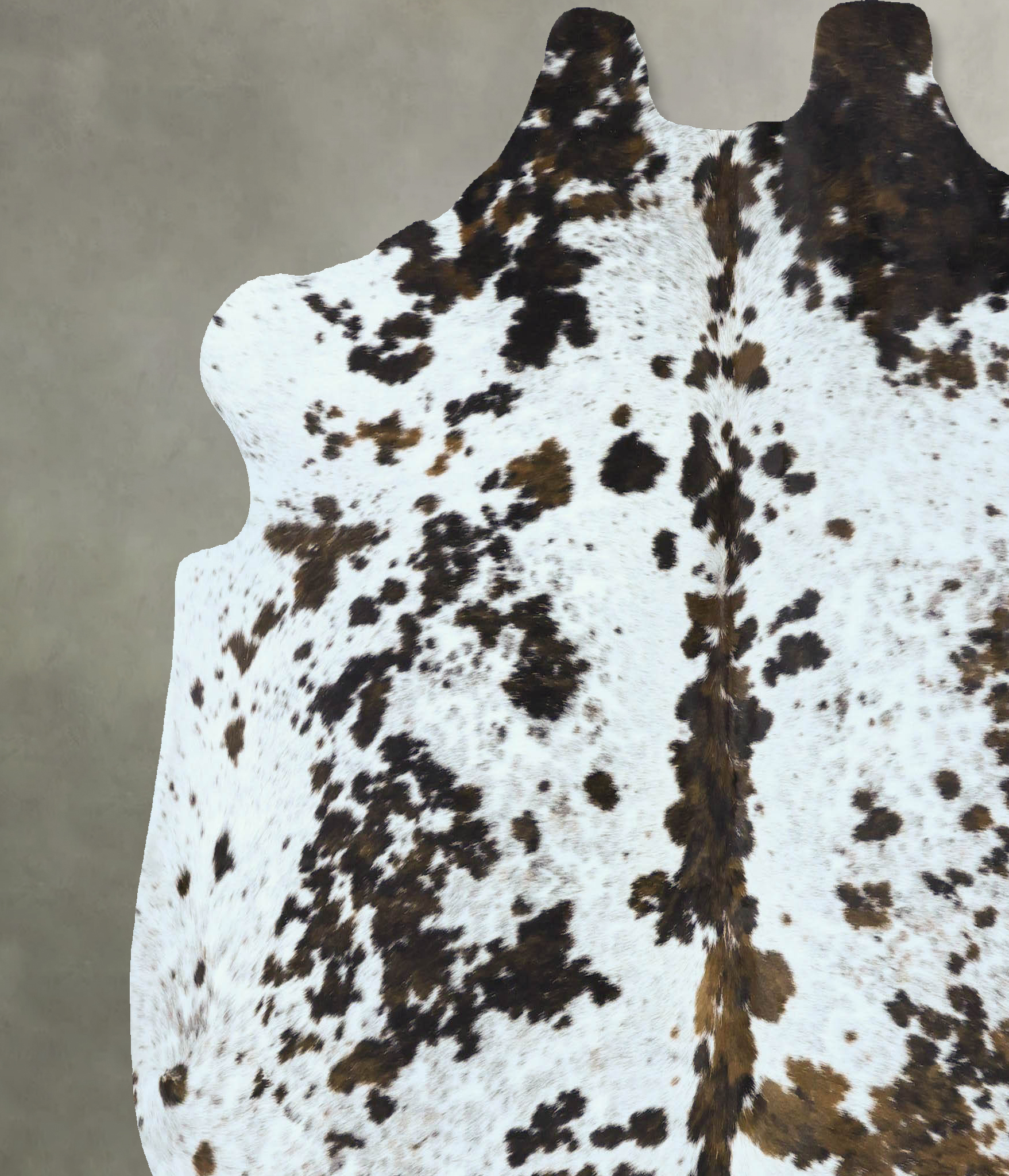 Tricolor Cowhide Rug #B22831