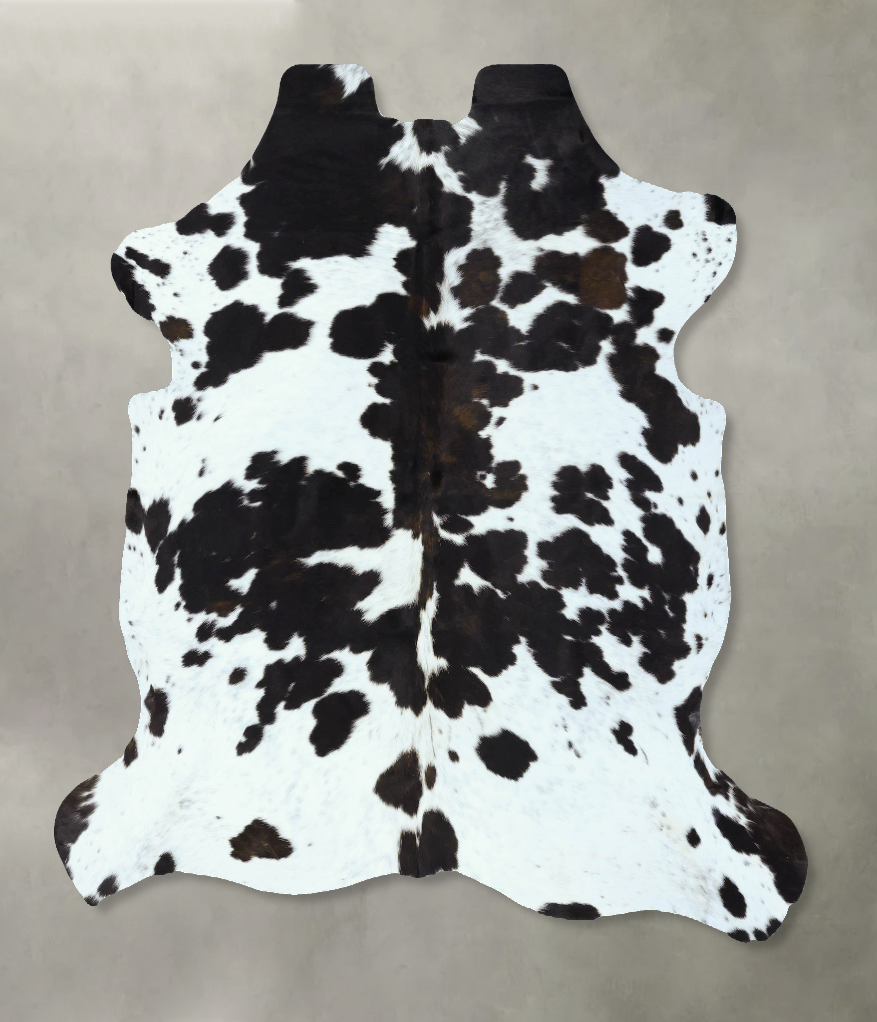 Tricolor Cowhide Rug #B22833