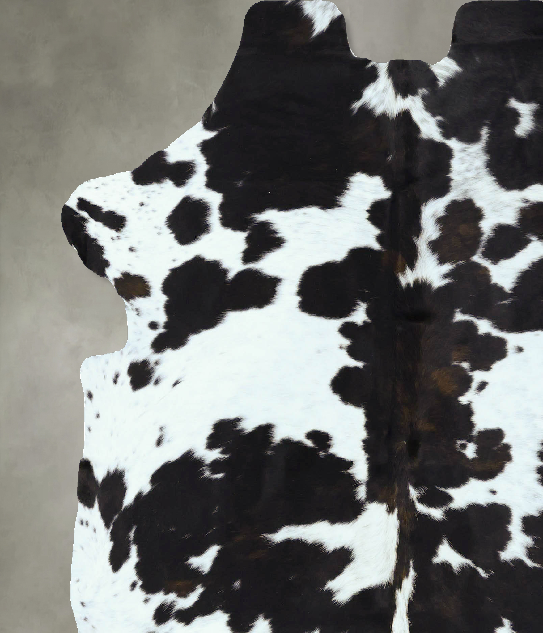 Tricolor Cowhide Rug #B22833