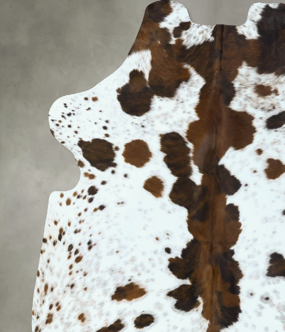 Tricolor Large European Cowhide Rug 6'8"H x 5'10"W #B22834 by Hudson H