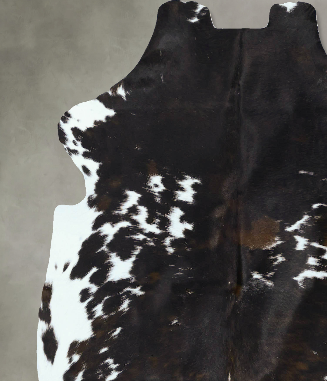 Tricolor Large European Cowhide Rug 6'6"H x 5'11"W #B22835 by Hudson H