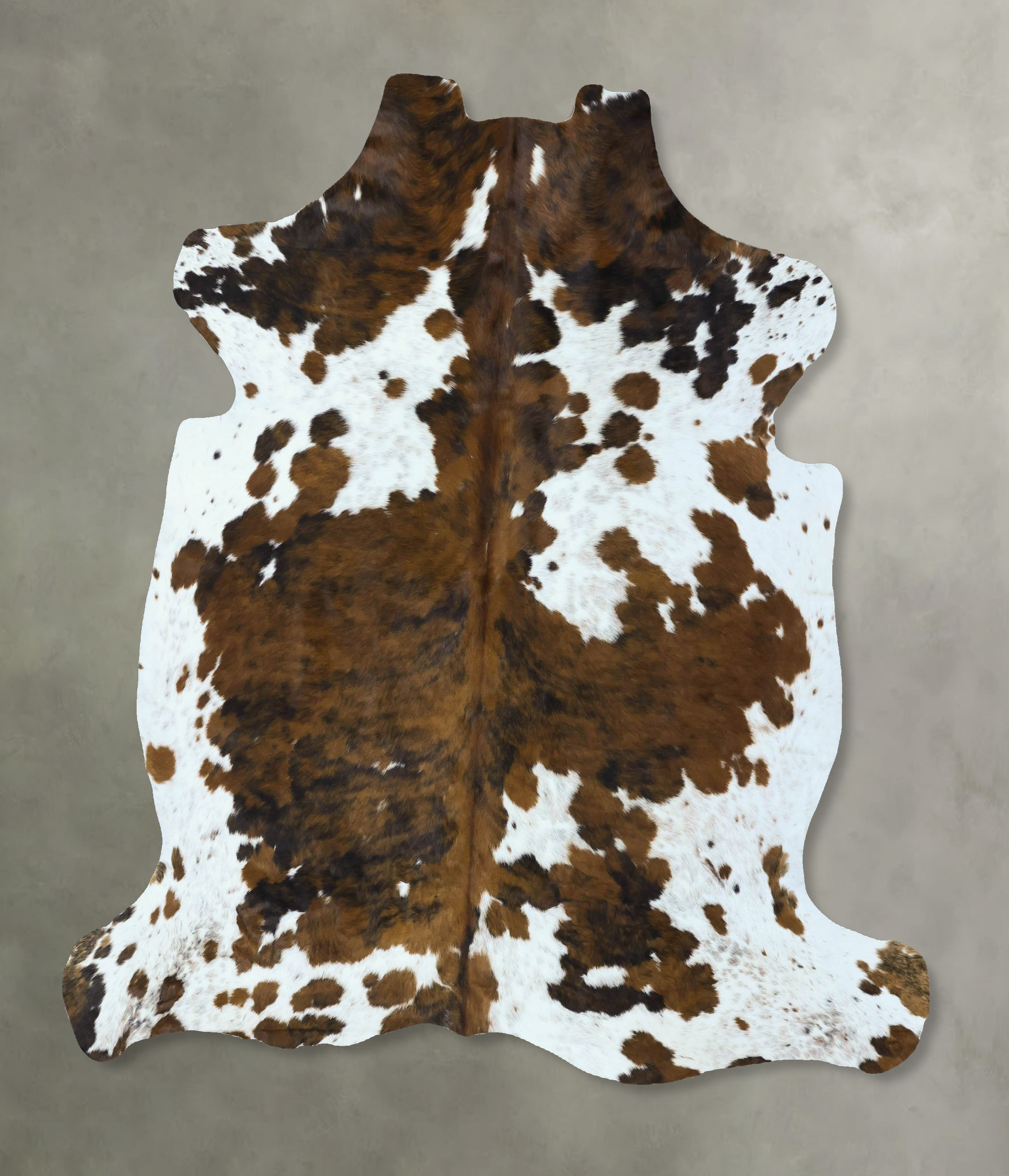 Tricolor Cowhide Rug #B22838