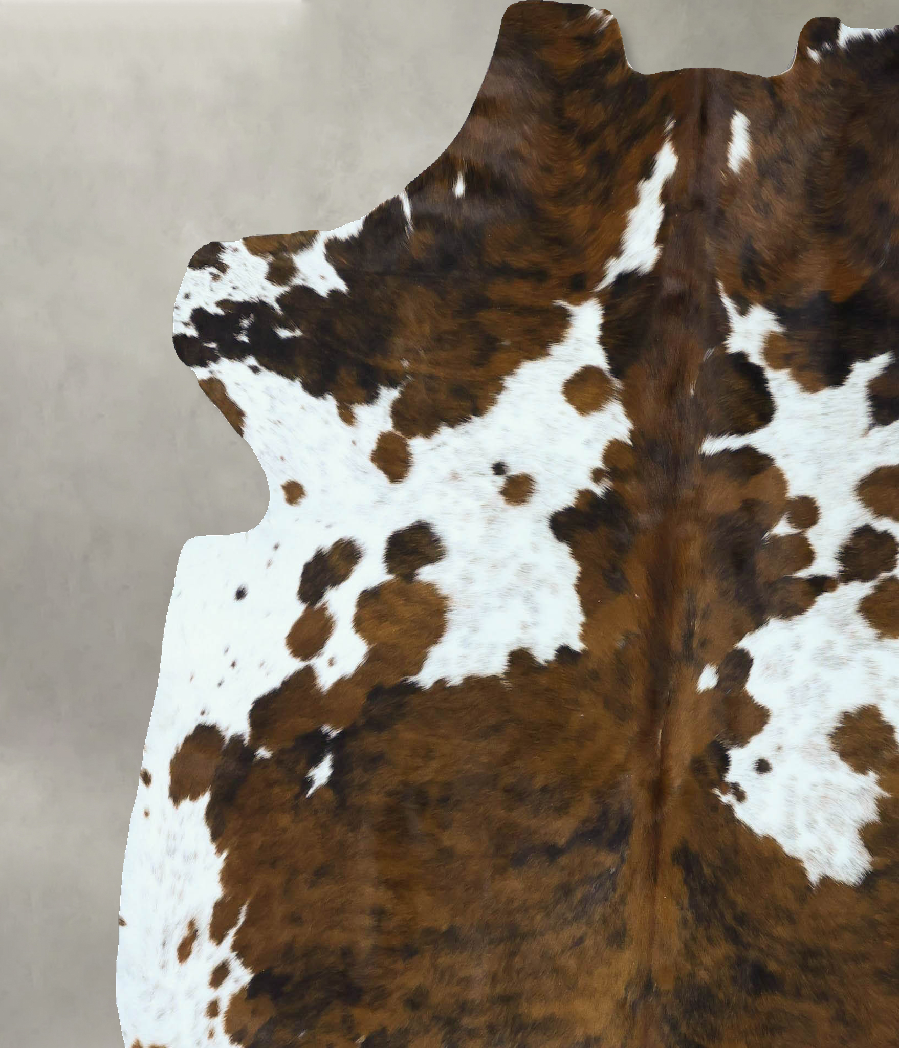 Tricolor Cowhide Rug #B22838