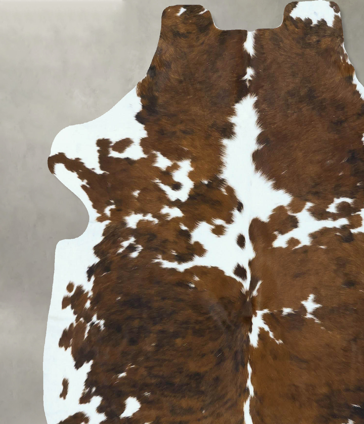 Tricolor Large European Cowhide Rug 6'7"H x 5'10"W #B22839 by Hudson Hides