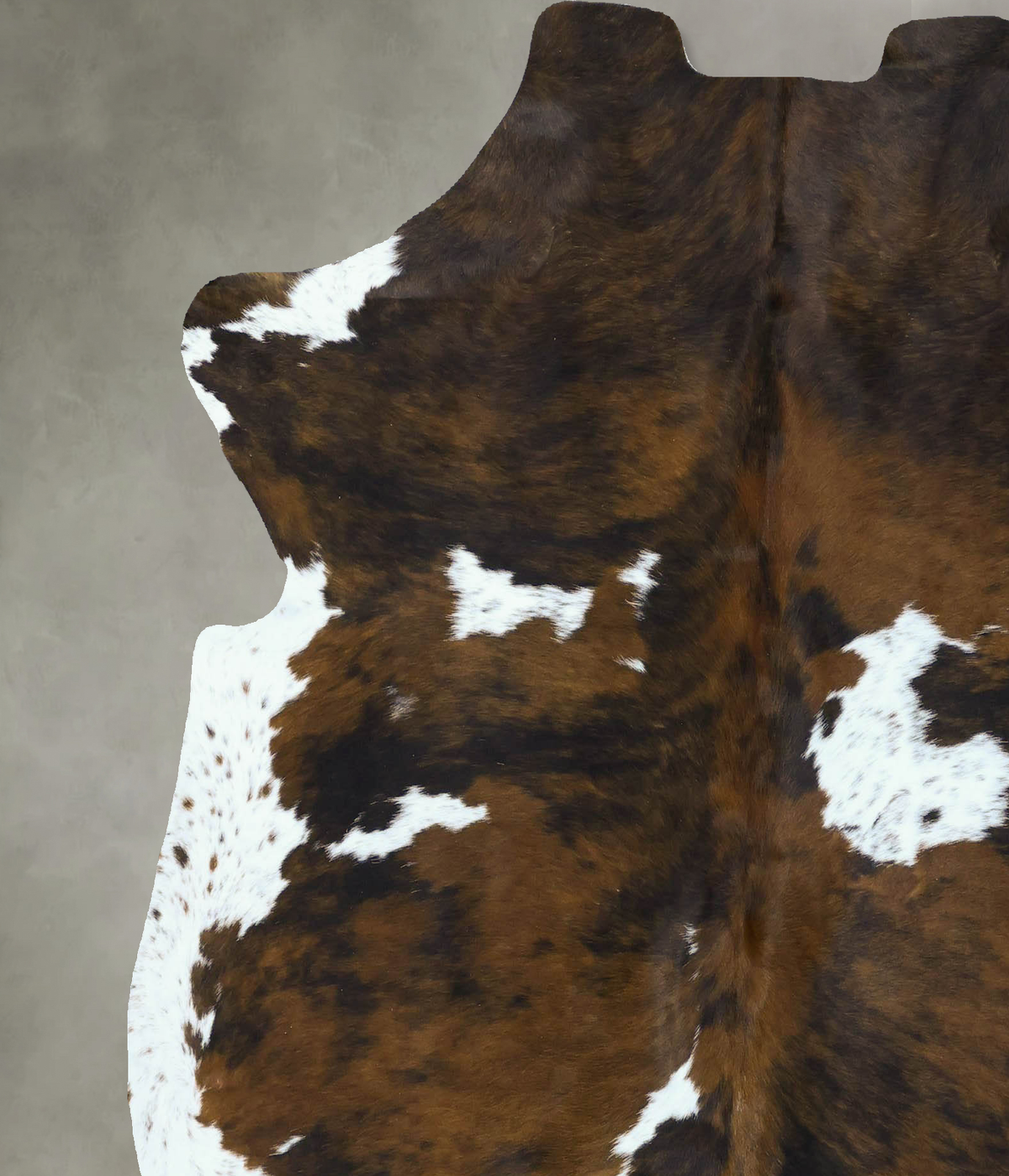 Tricolor X-Large European Cowhide Rug 6'8"H x 6'2"W #B22840 by Hudson Hides