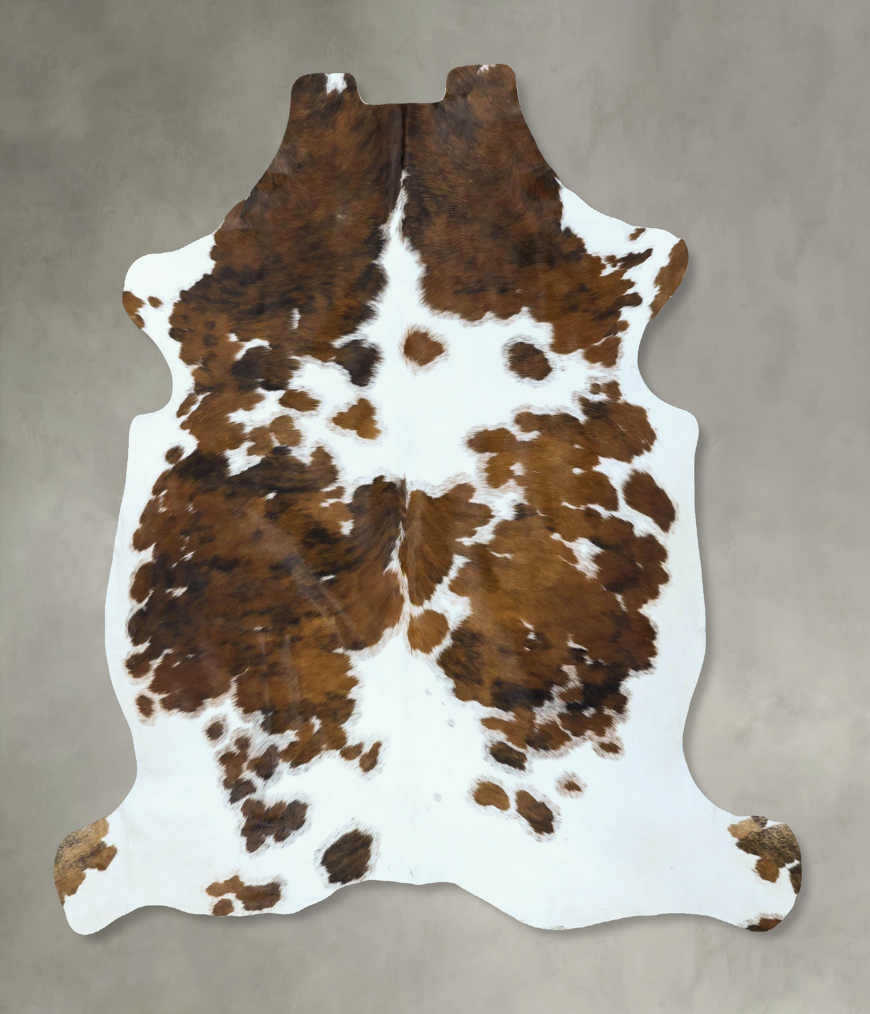 Tricolor Cowhide Rug #B22841