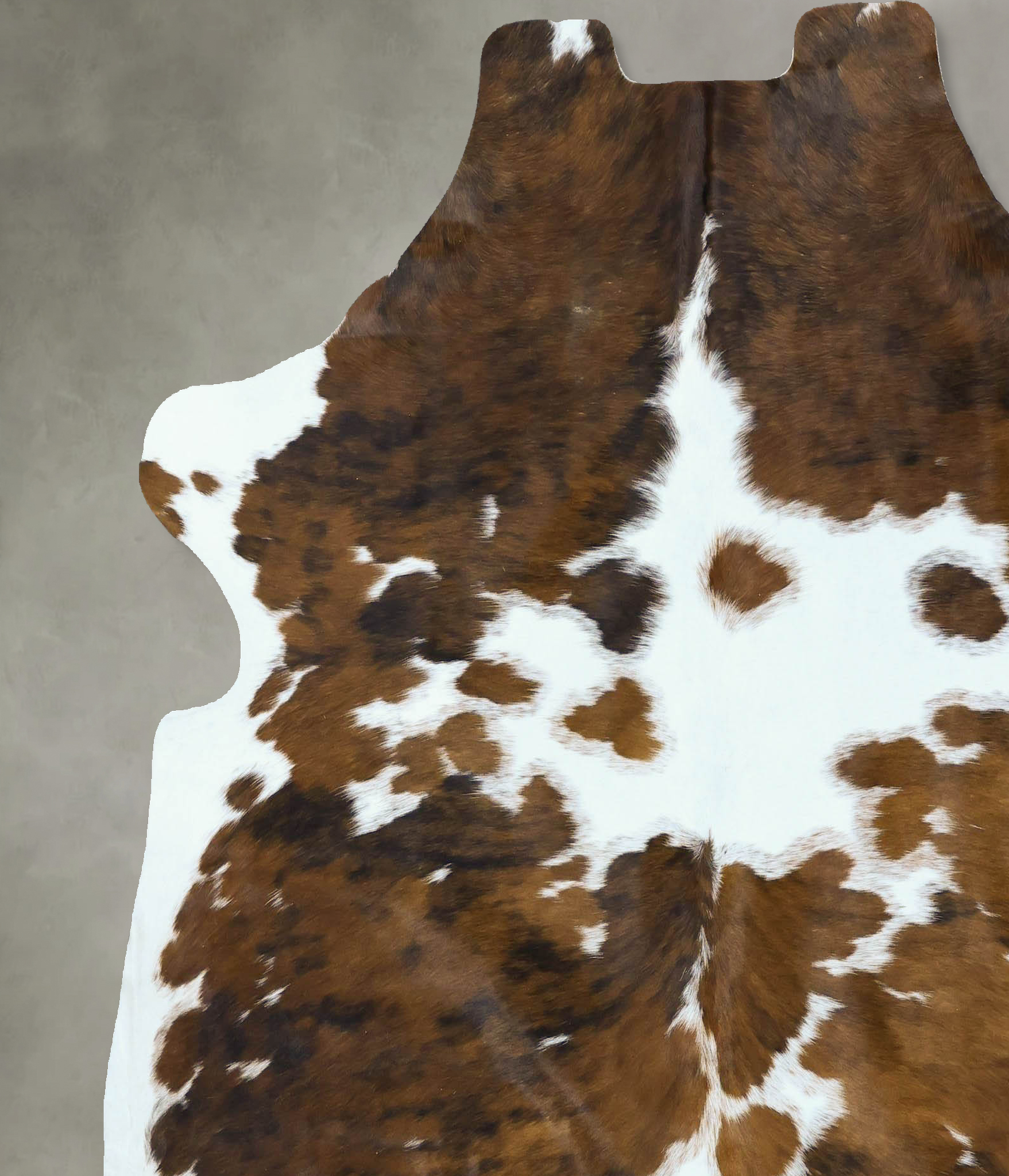 Tricolor Cowhide Rug #B22841