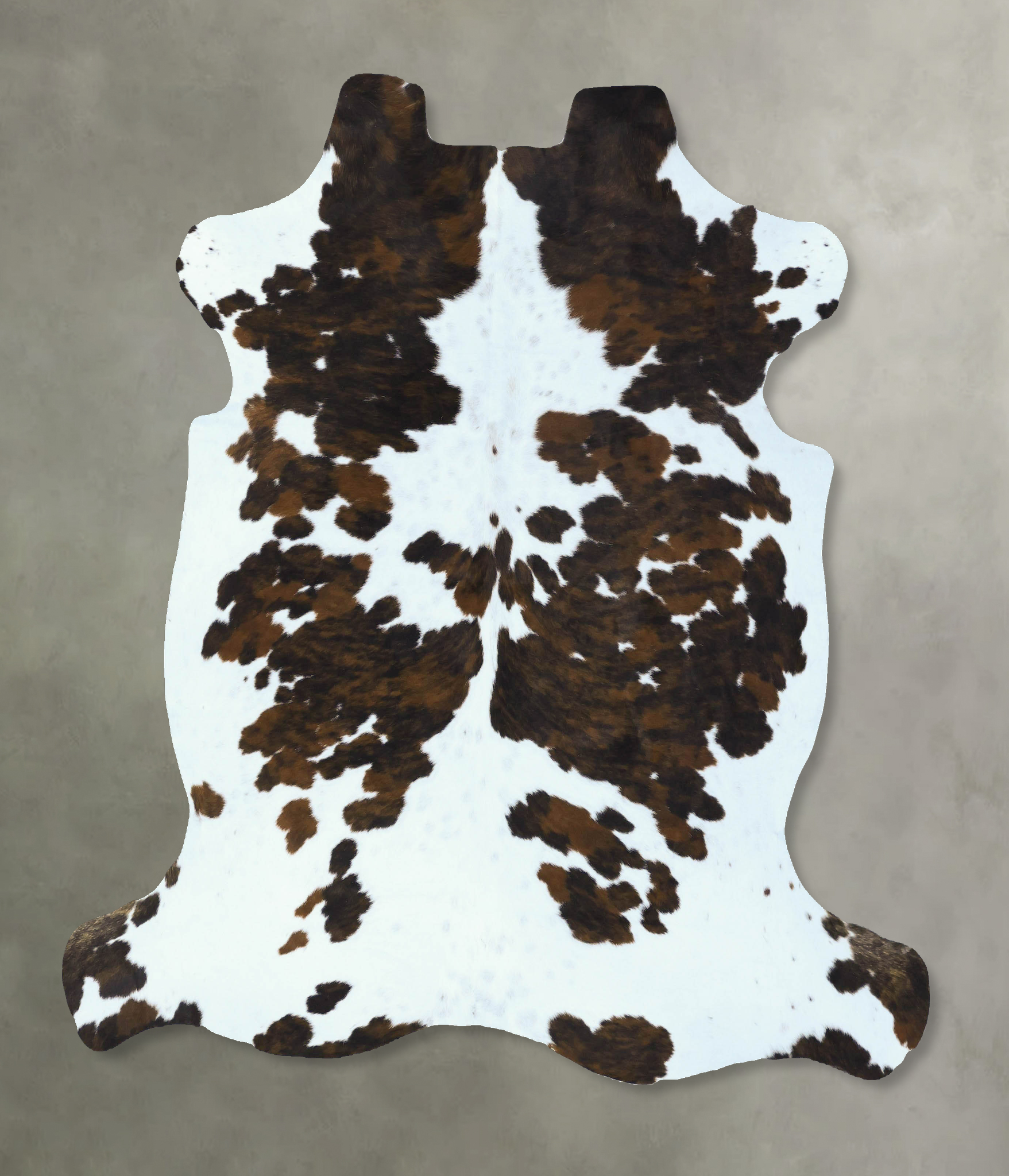 Tricolor Cowhide Rug #B22843