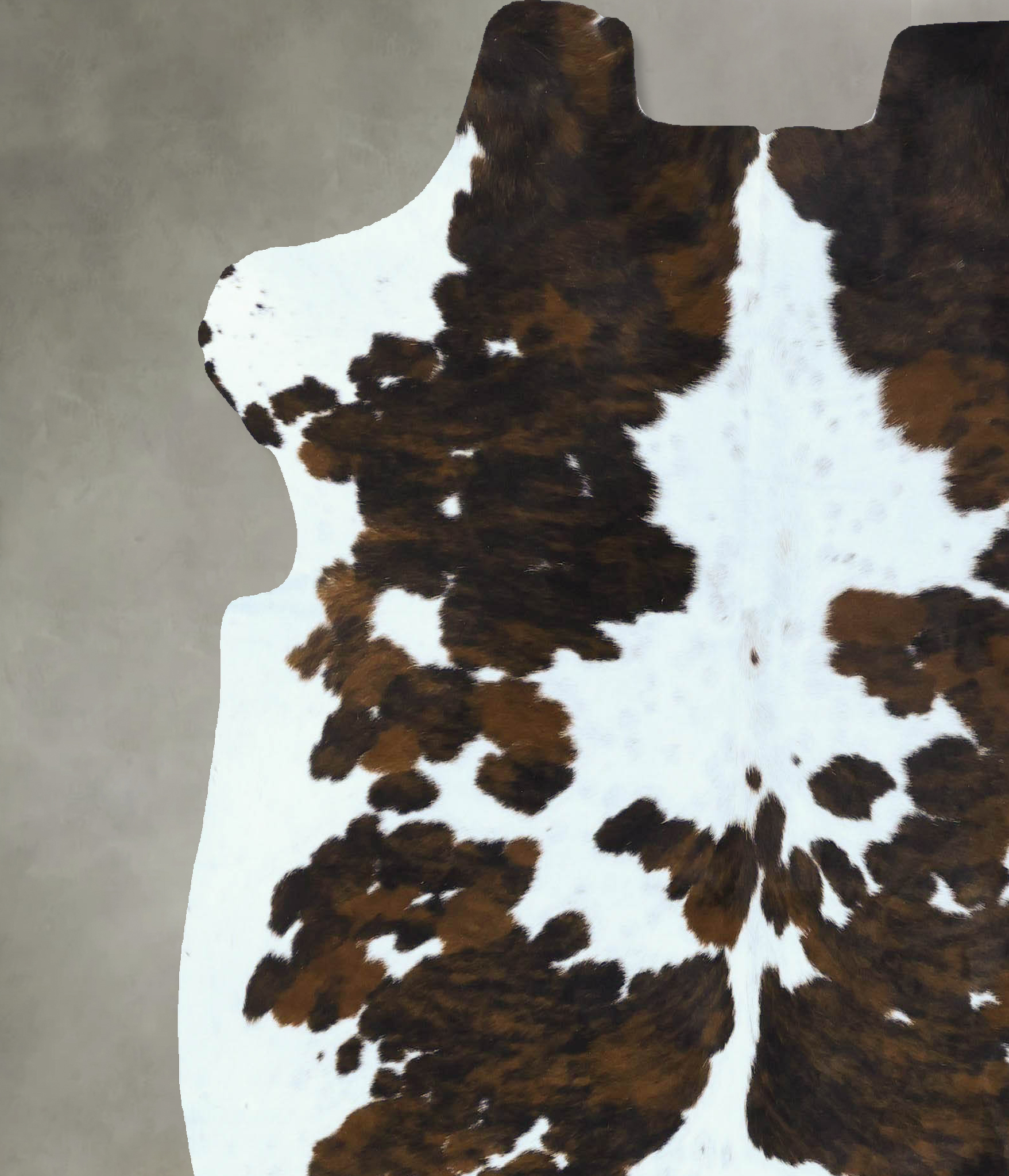 Tricolor Cowhide Rug #B22843