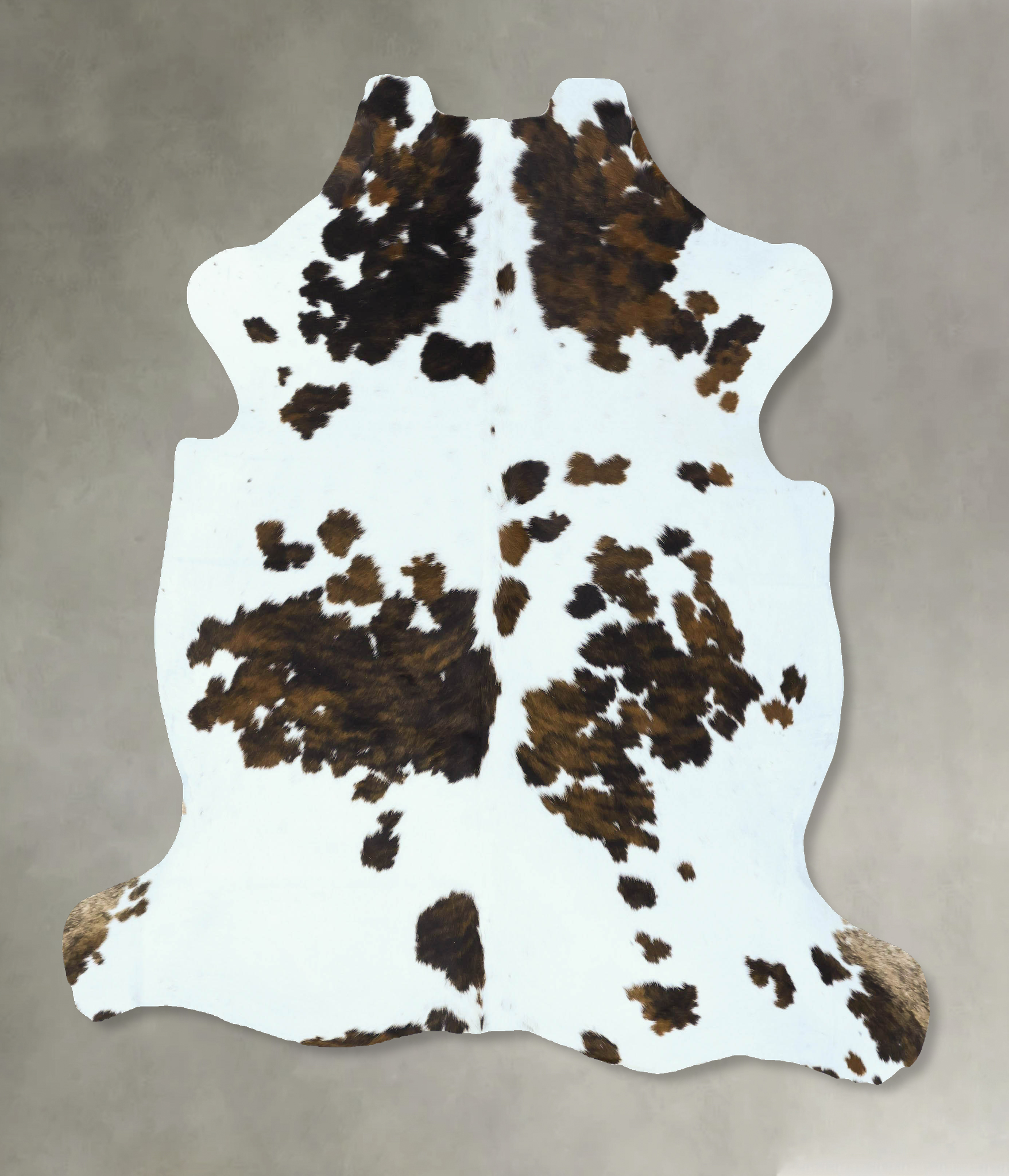Tricolor Cowhide Rug #B22844