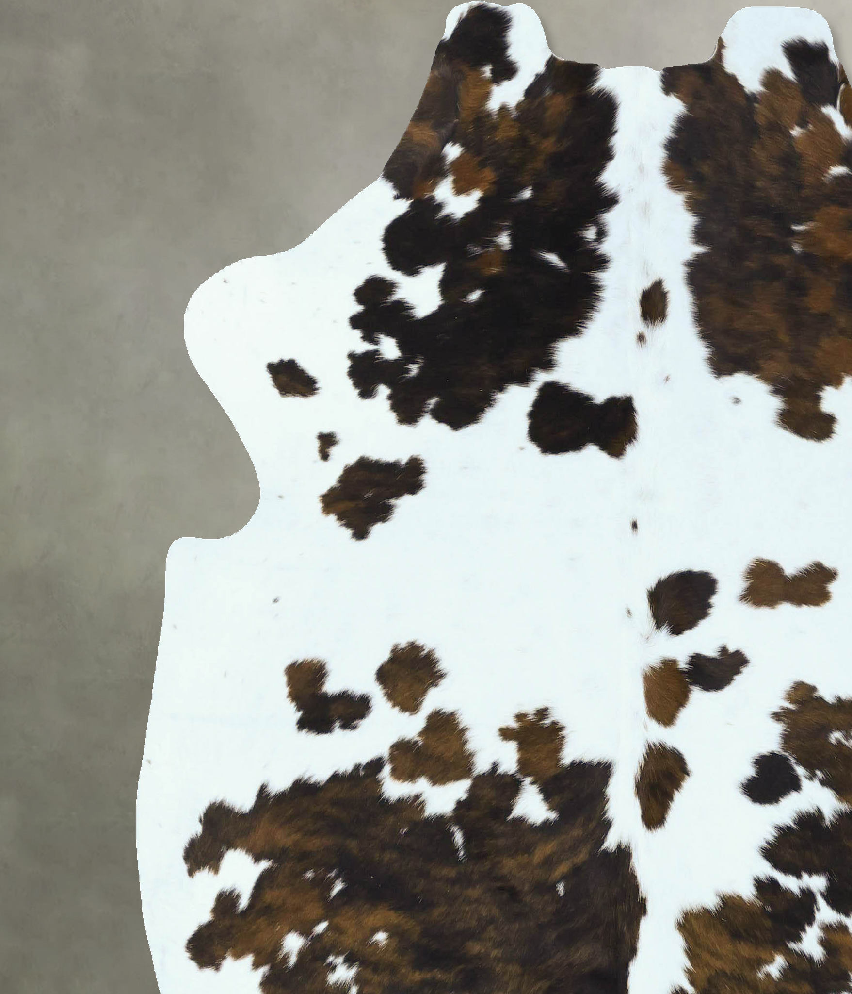 Tricolor Cowhide Rug #B22844