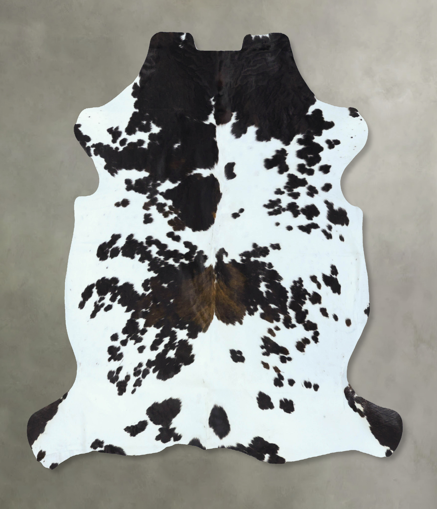 Tricolor Cowhide Rug #B22846