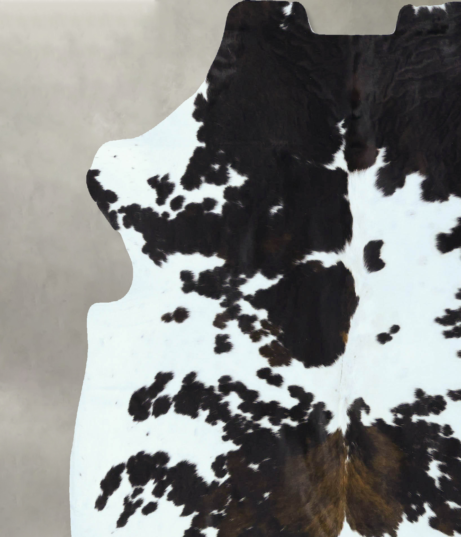 Tricolor Cowhide Rug #B22846