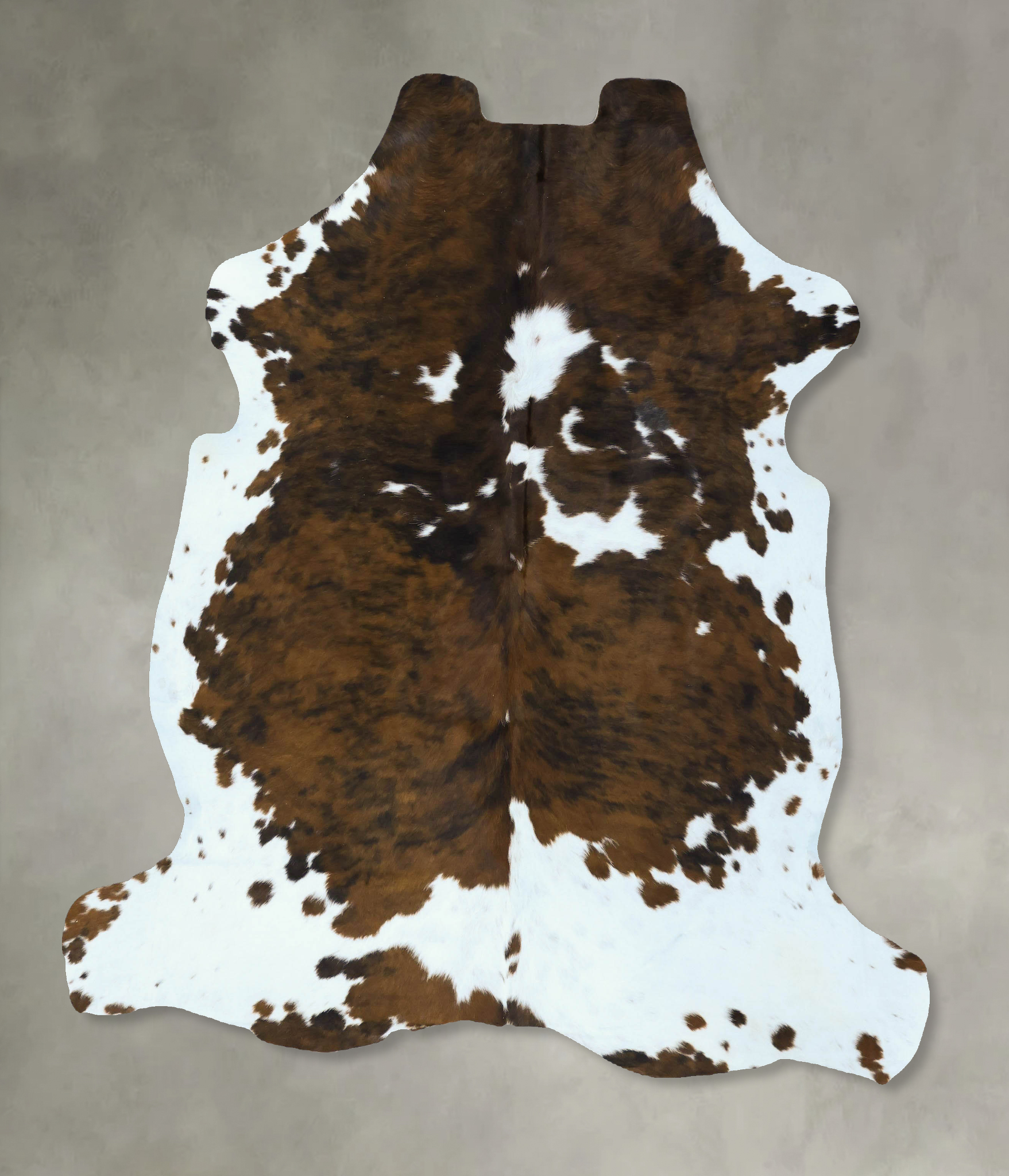 Tricolor Cowhide Rug #B22847