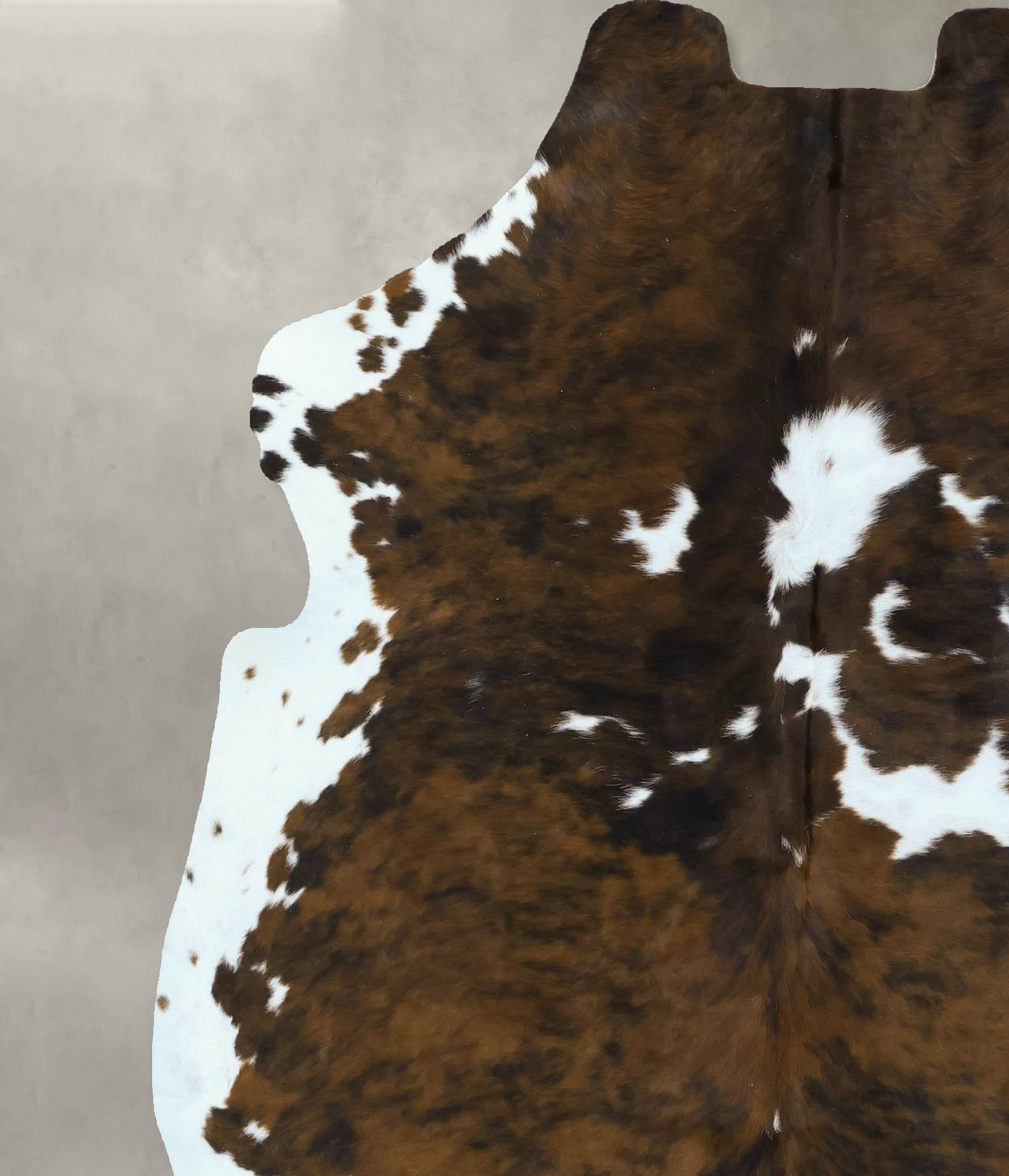 Tricolor Cowhide Rug #B22847