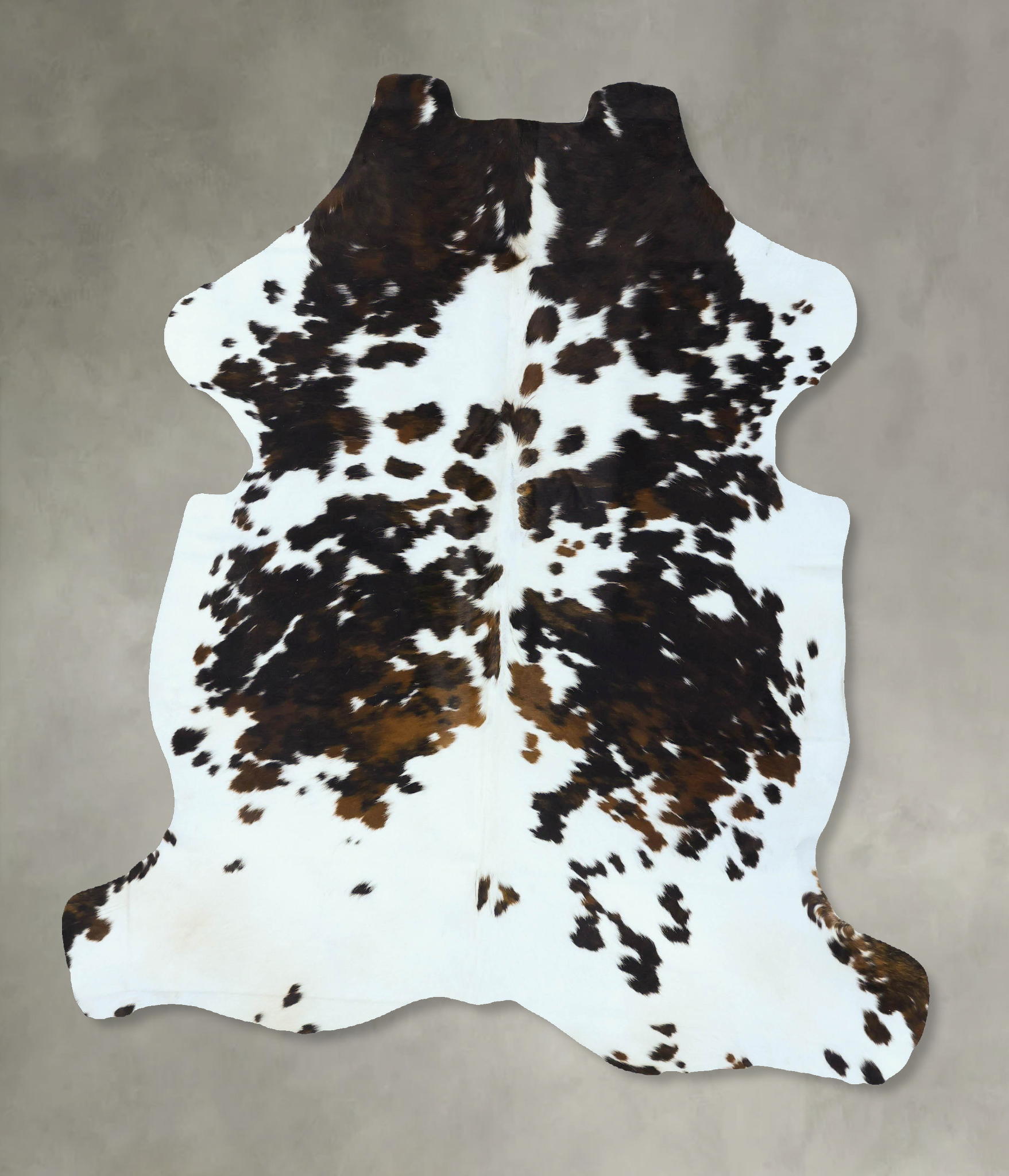 Tricolor Cowhide Rug #B22849
