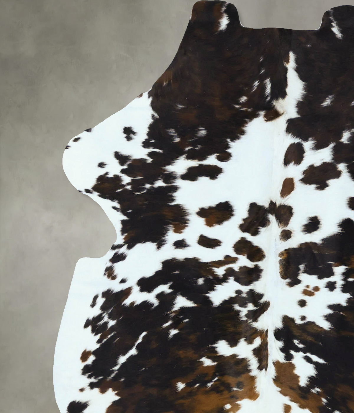 Tricolor X-Large European Cowhide Rug 7'0"H x 6'1"W #B22849 by Hudson Hides