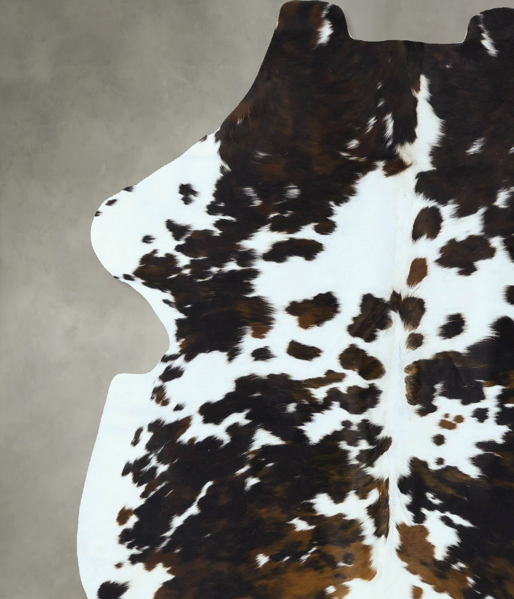 Tricolor Cowhide Rug #B22849