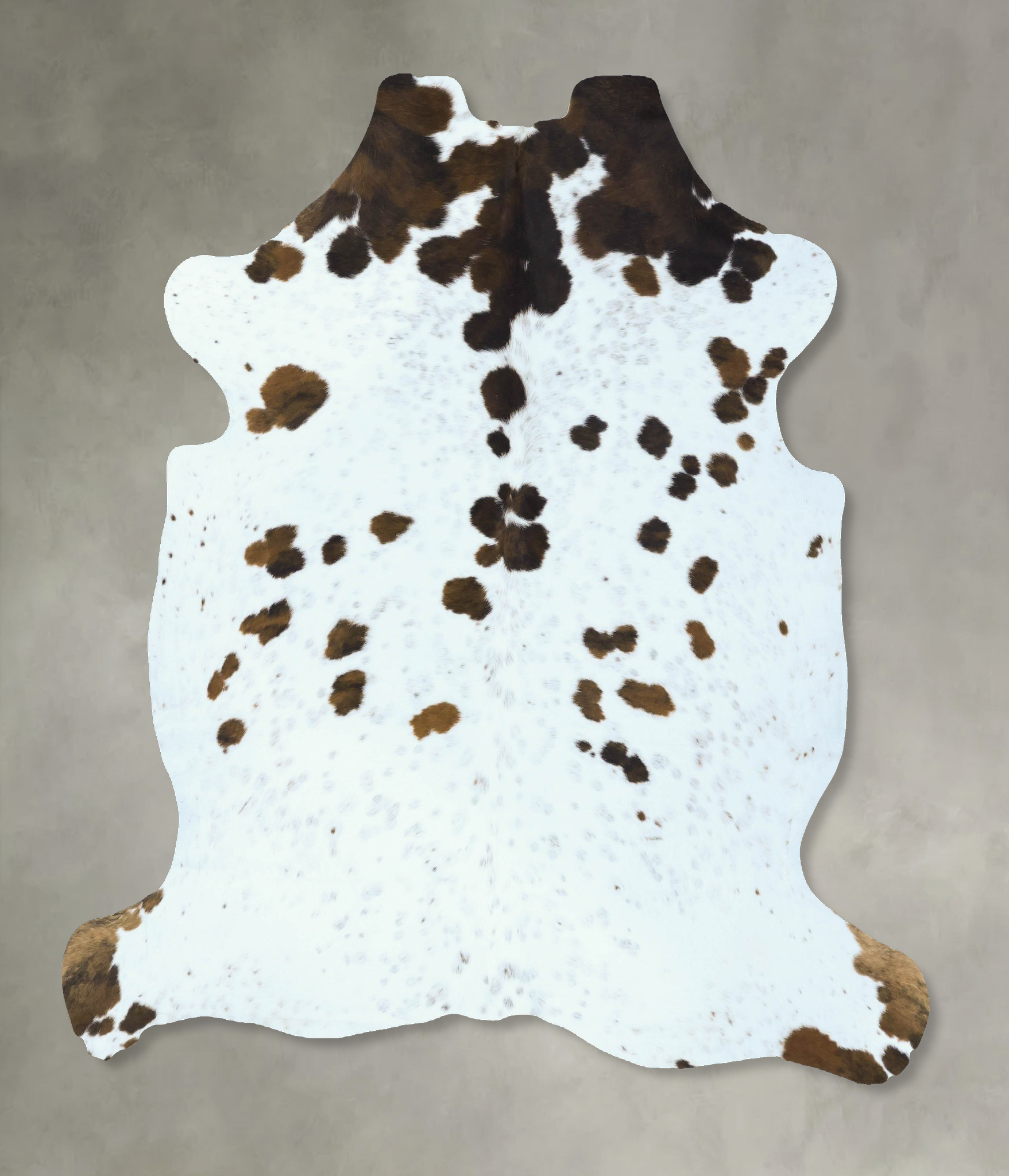 Tricolor Cowhide Rug #B22850