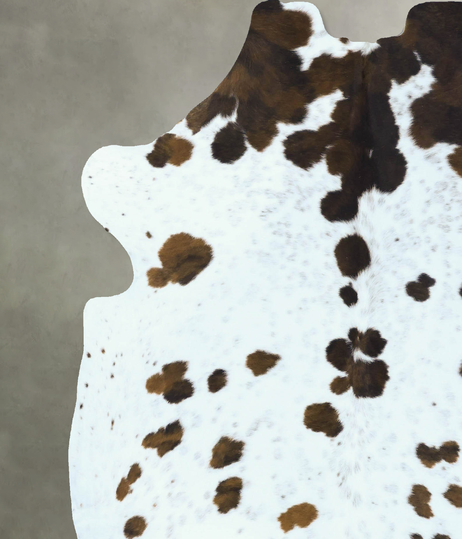 Tricolor Cowhide Rug #B22850