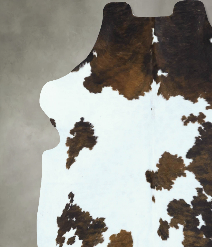 Tricolor Large European Cowhide Rug 6'5"H x 6'0"W #B22853 by Hudson Hides